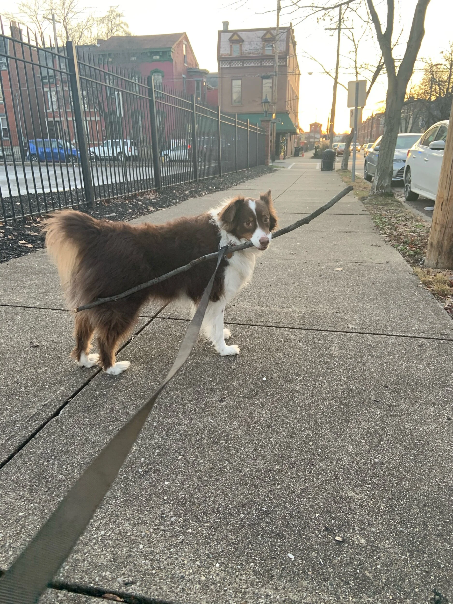 forgiveness and some healthy distance