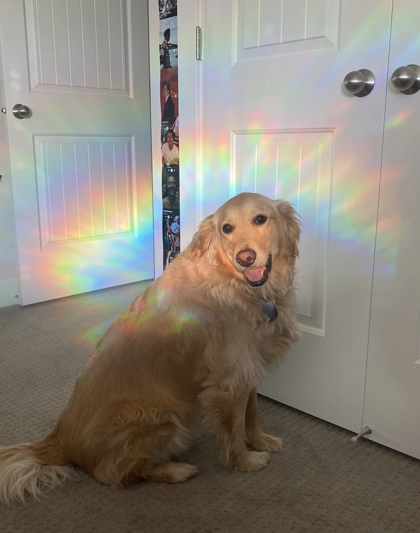 let’s talk about this, yes?