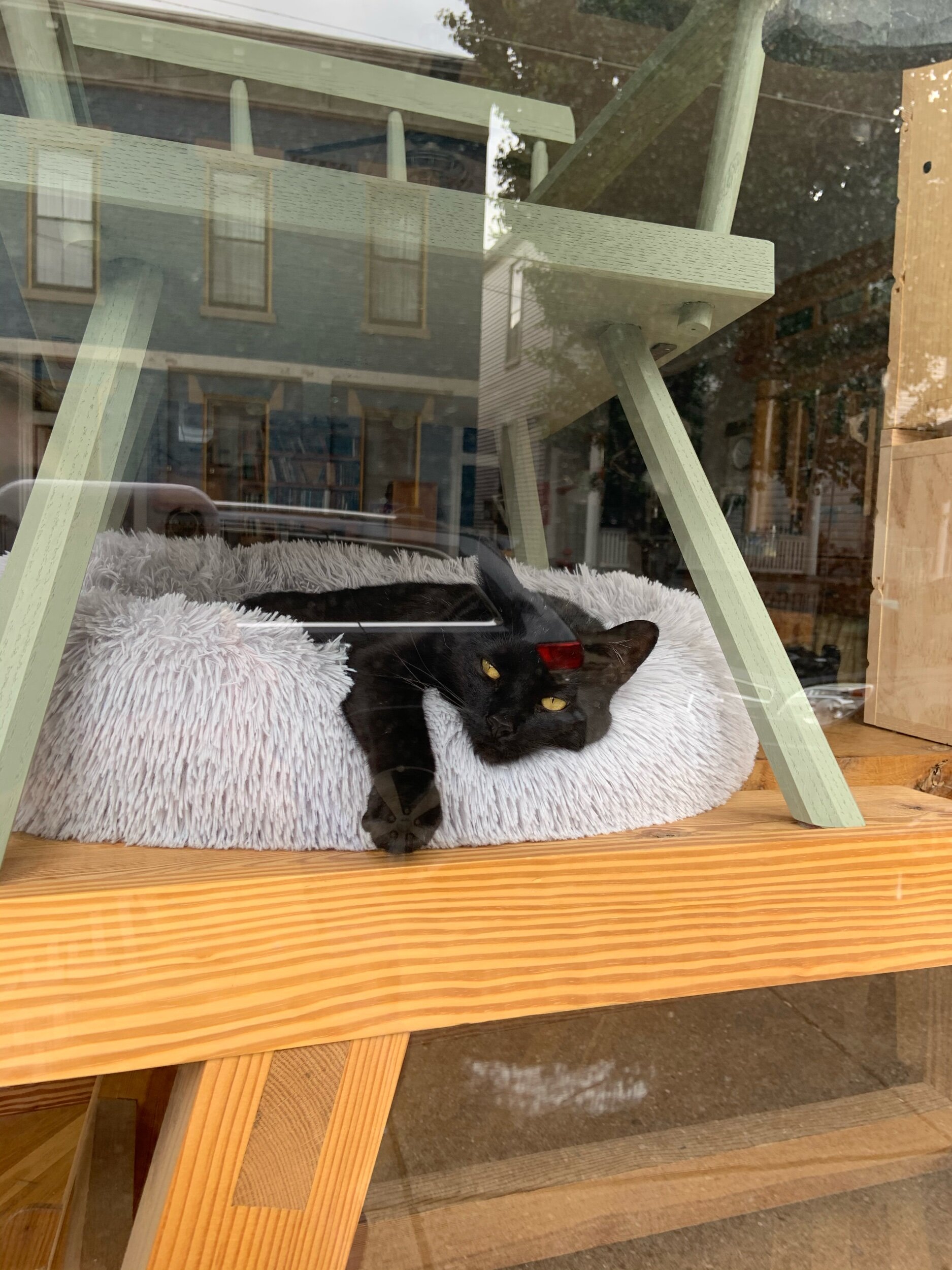 kind of like an instagram photo dump but with words instead of pictures