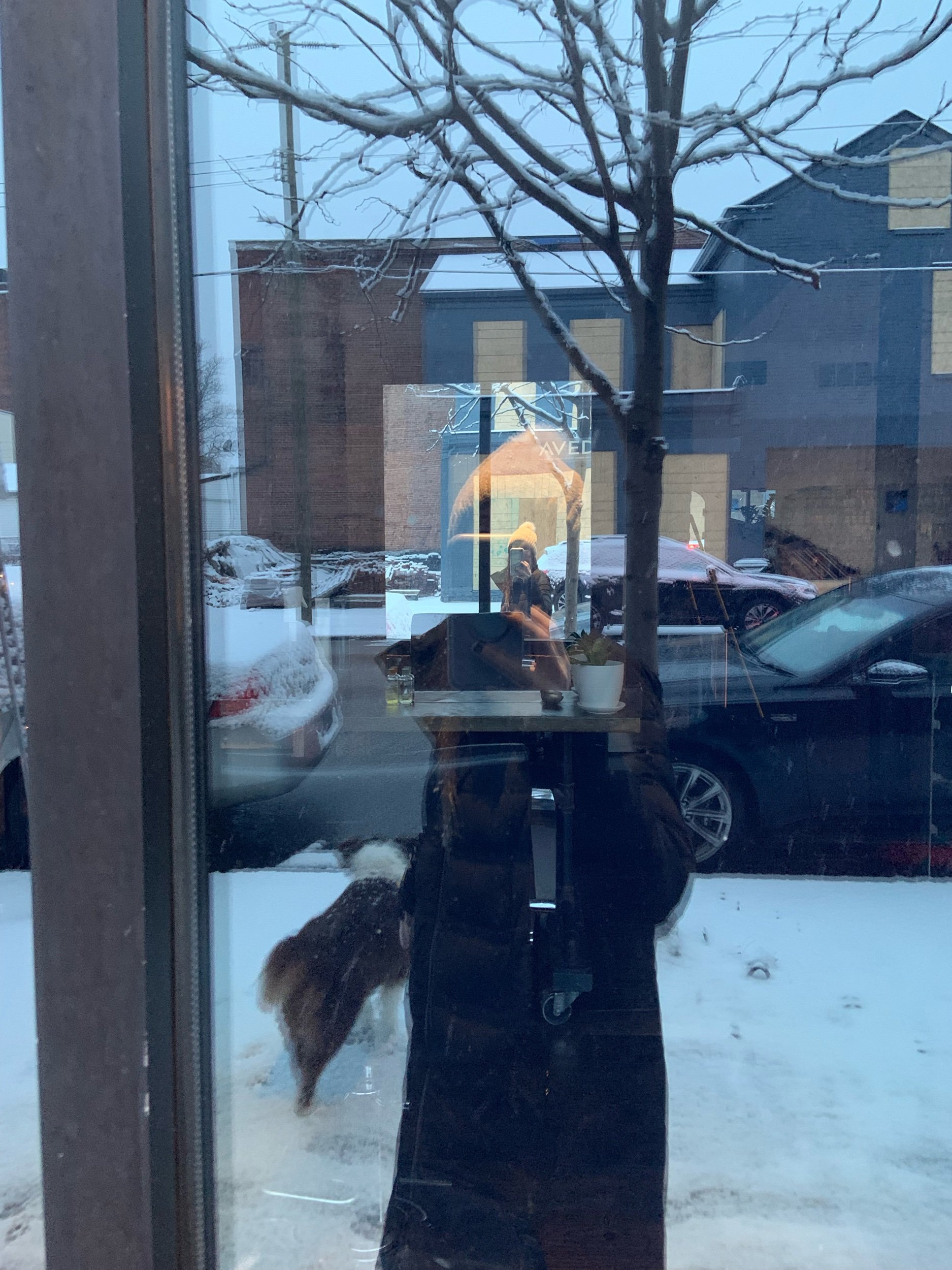 Synchronicities 1/29/22