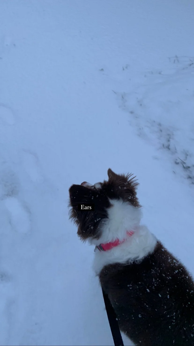 things i am learning about physics