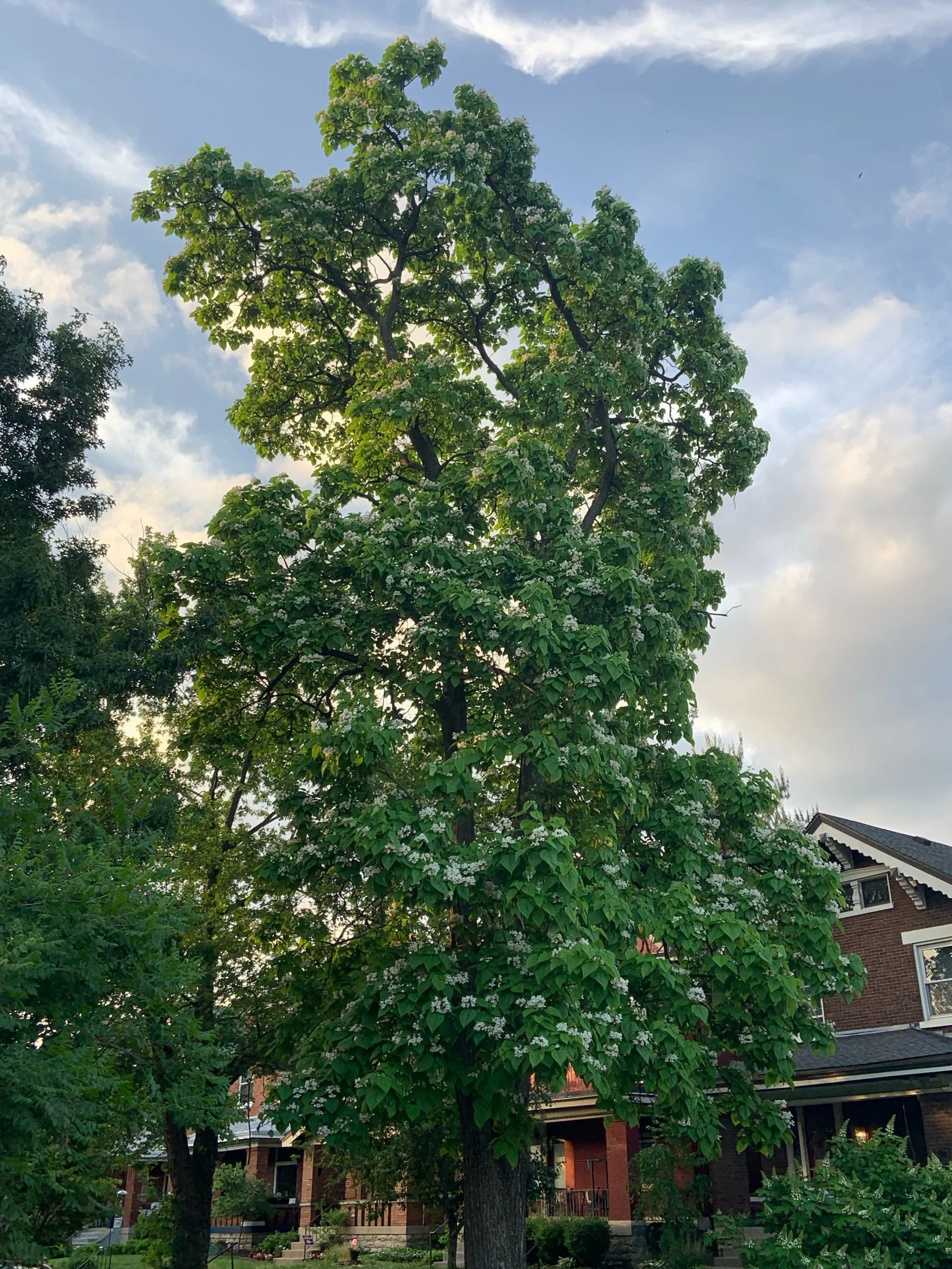 this is how you radiate