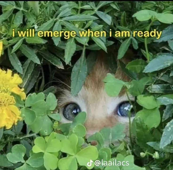 thoughts on the word of life