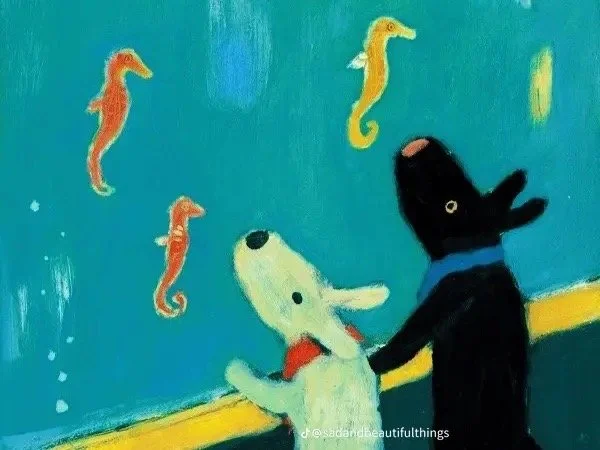 what do spider webs look like in the rain?