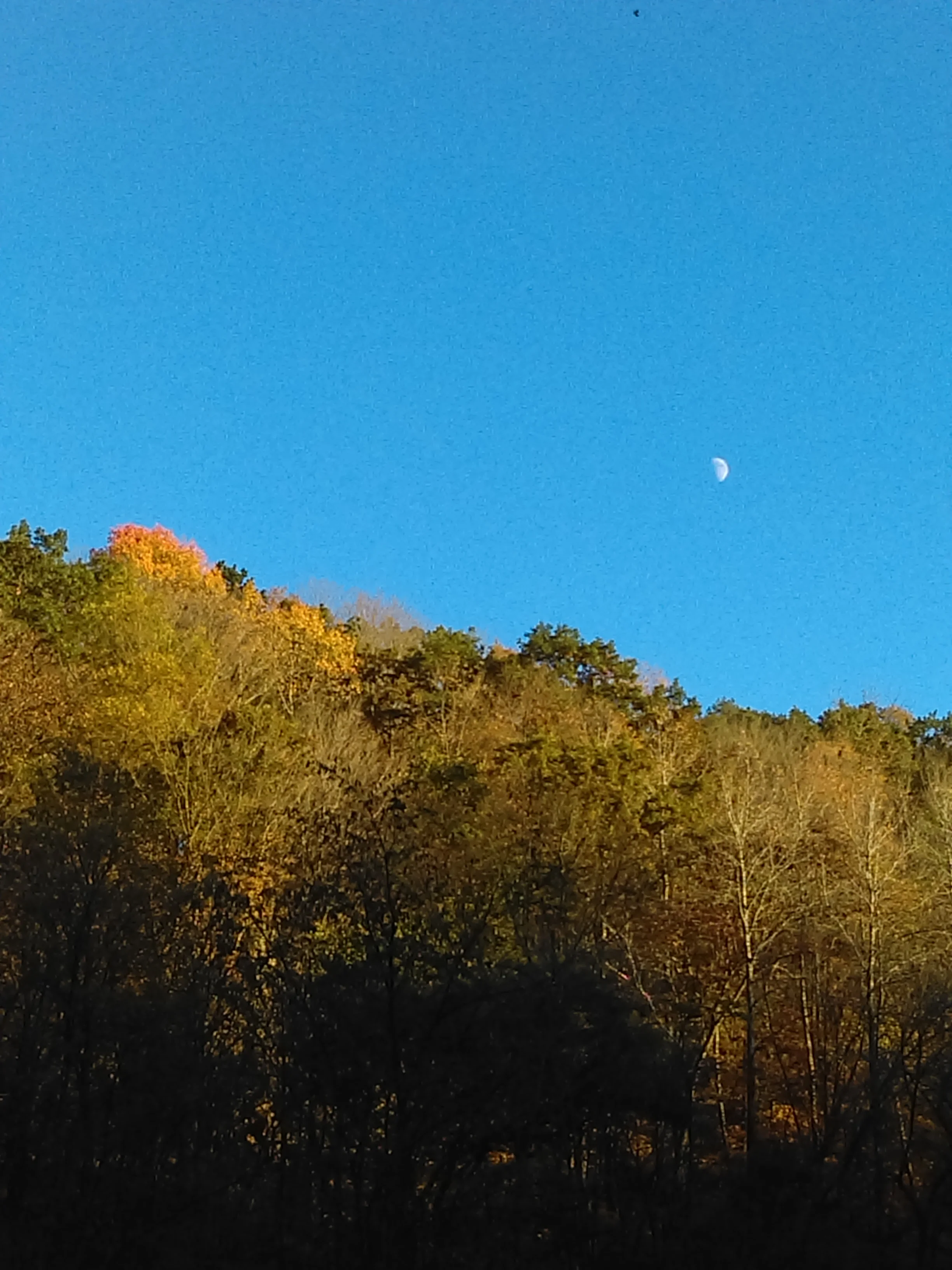 IMAG0371.jpg