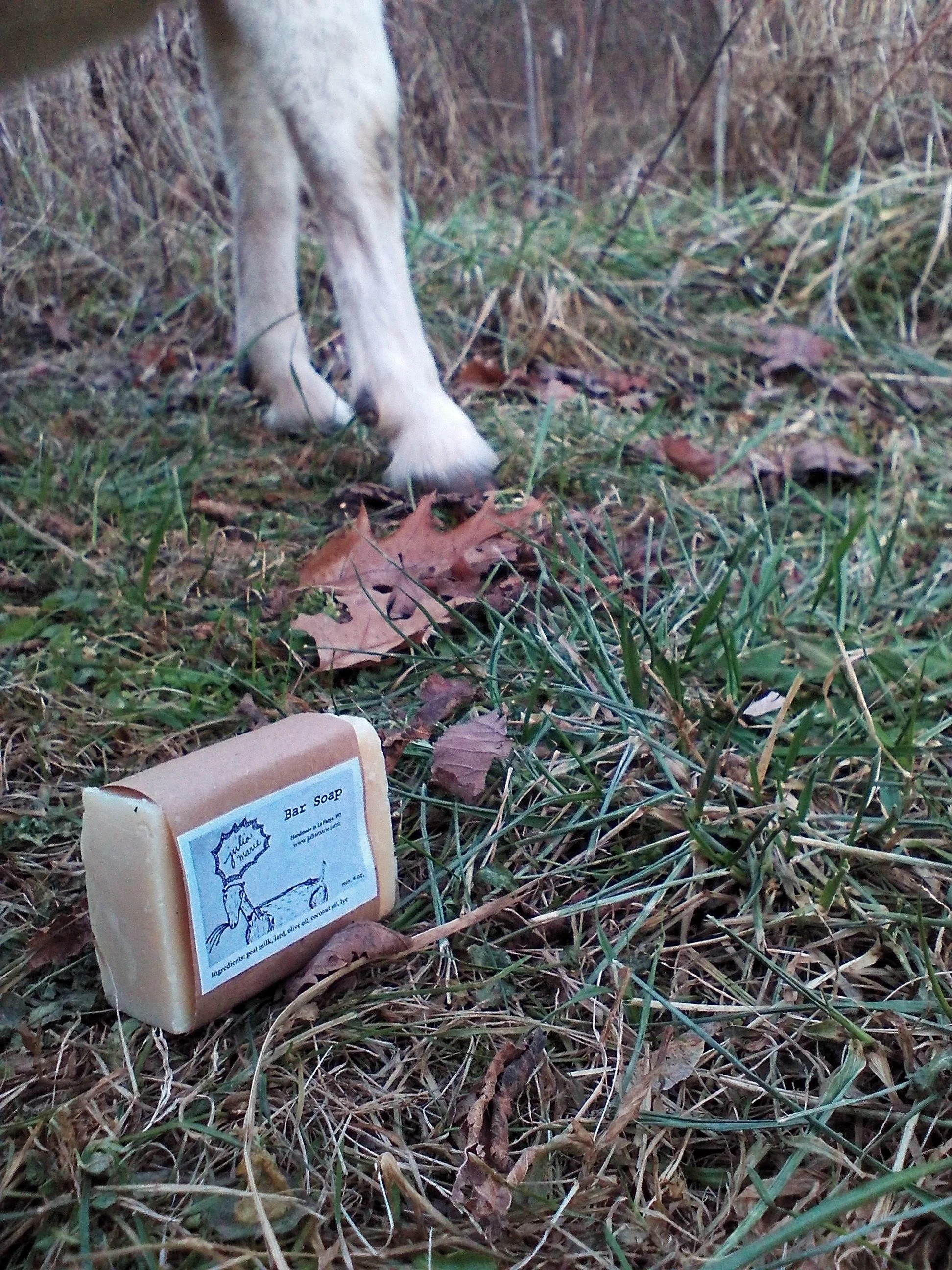 bar soap with goat leg.jpg