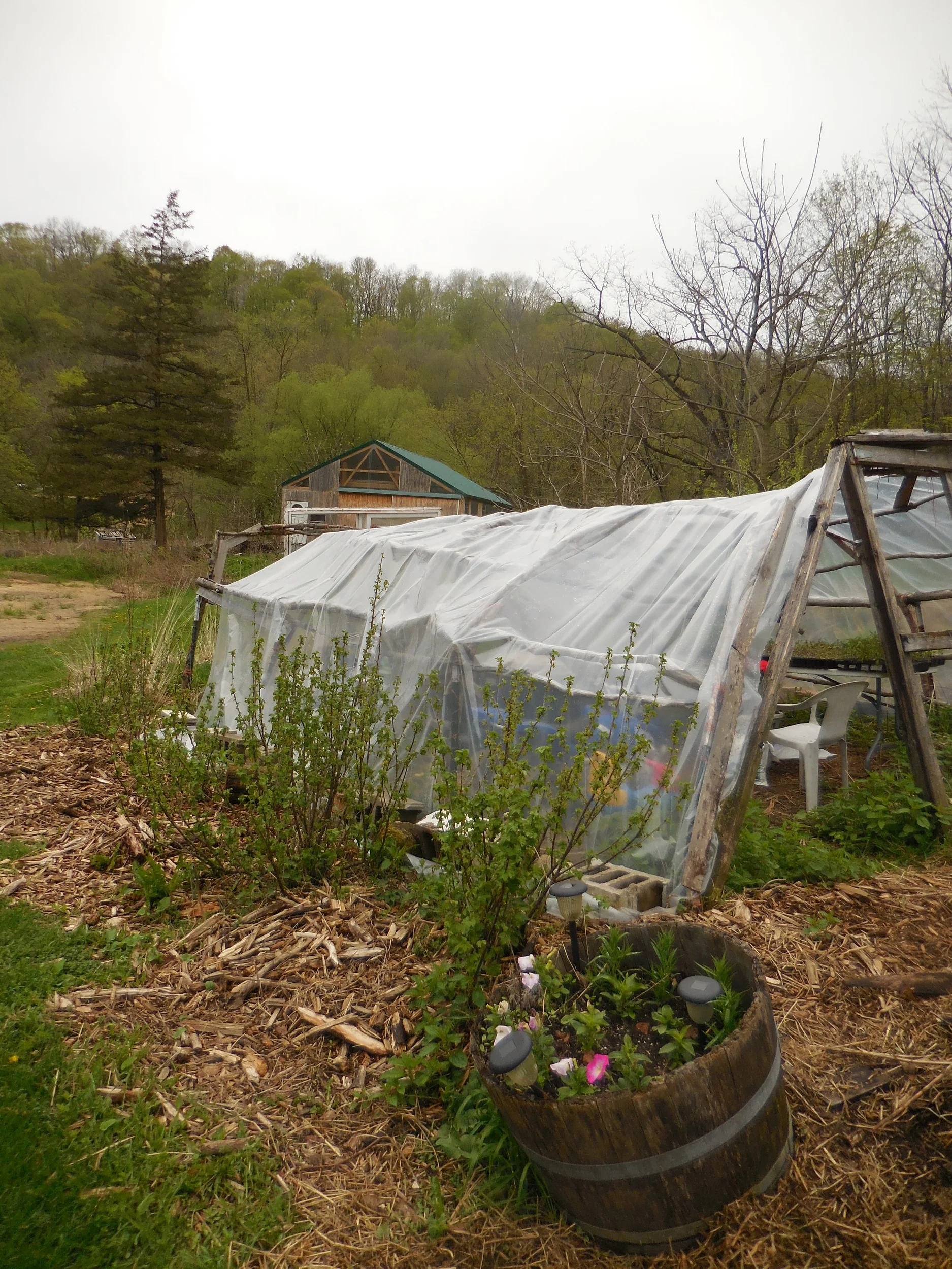 Greenhouse