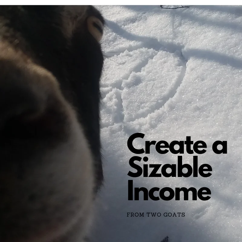 Create a Sizeable Income.jpg