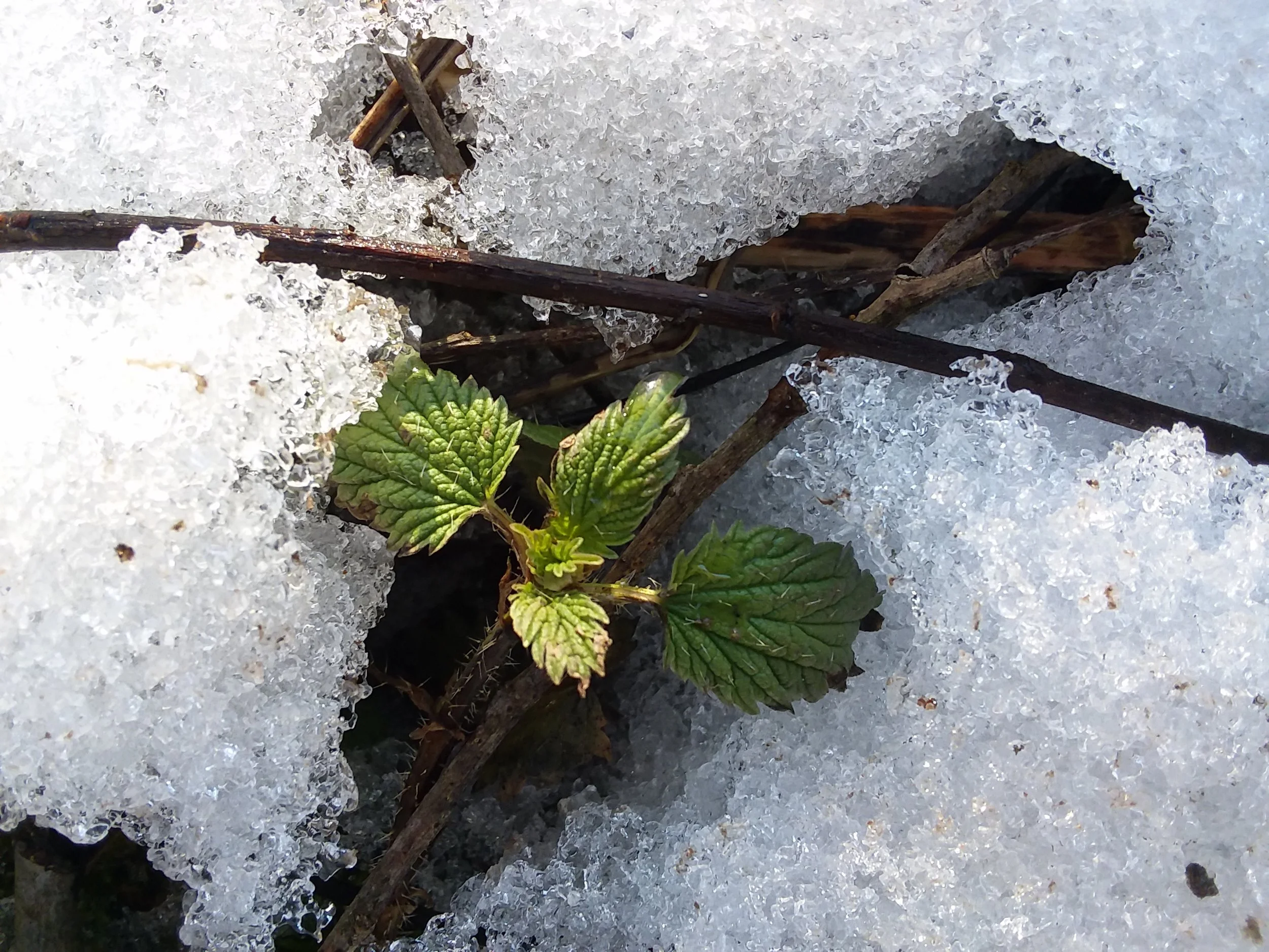 20190322_173741.jpg