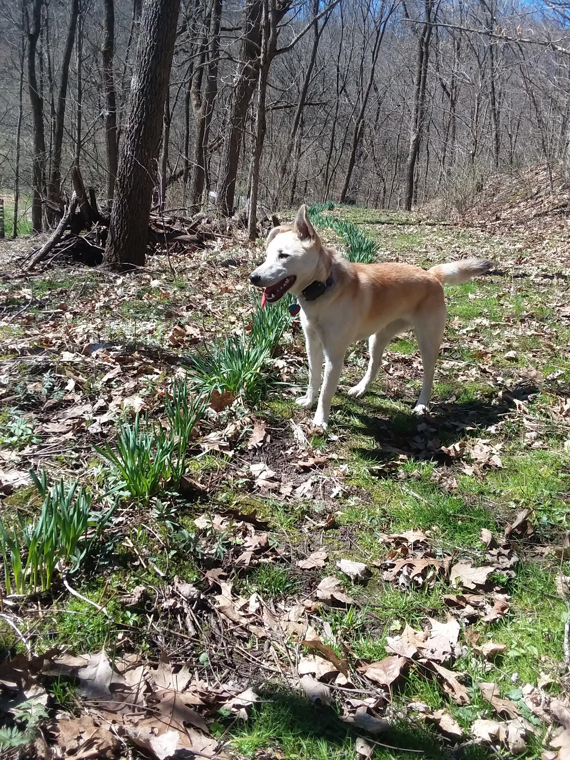 20190420_105950.jpg