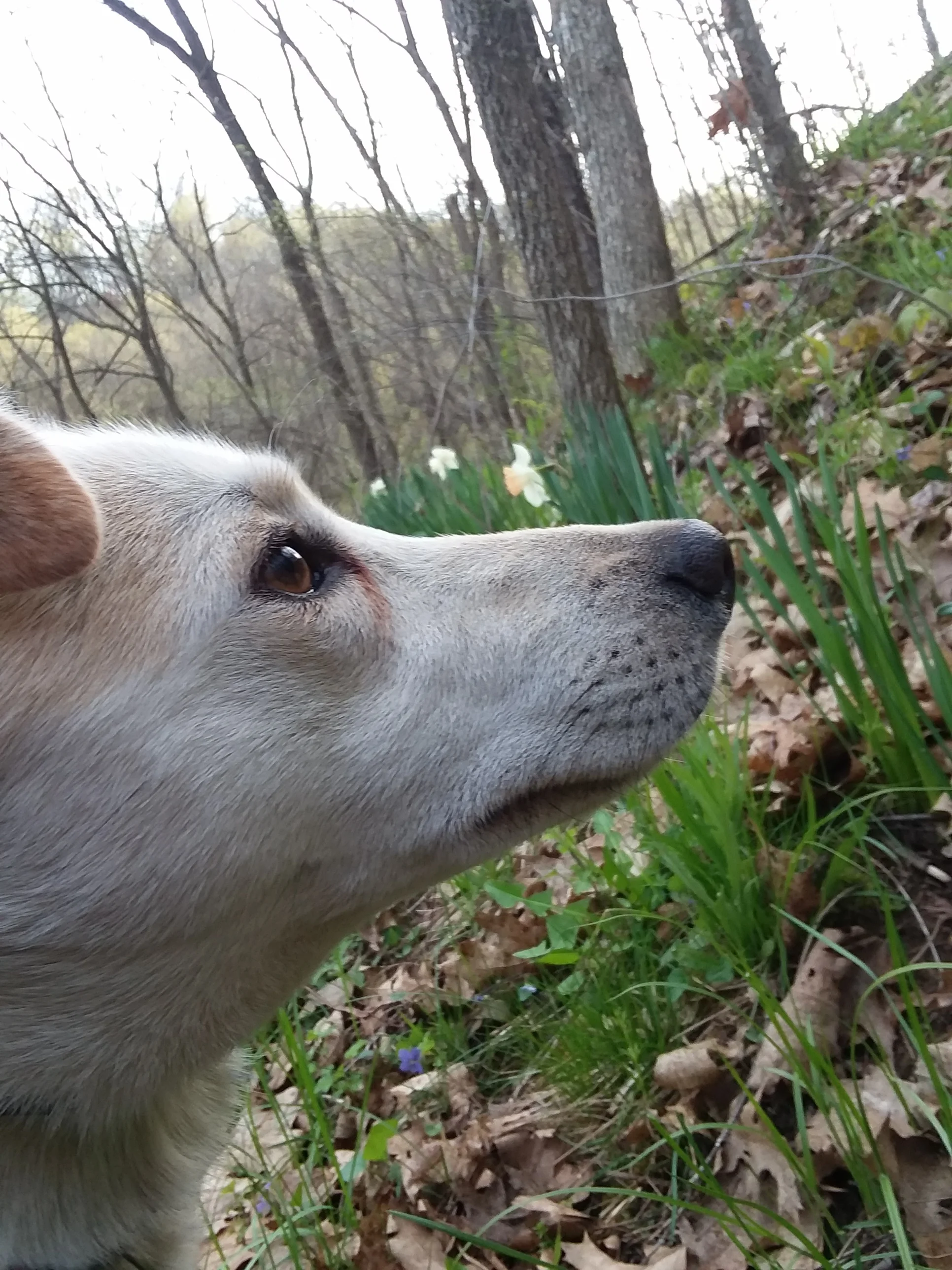 20190507_180356.jpg