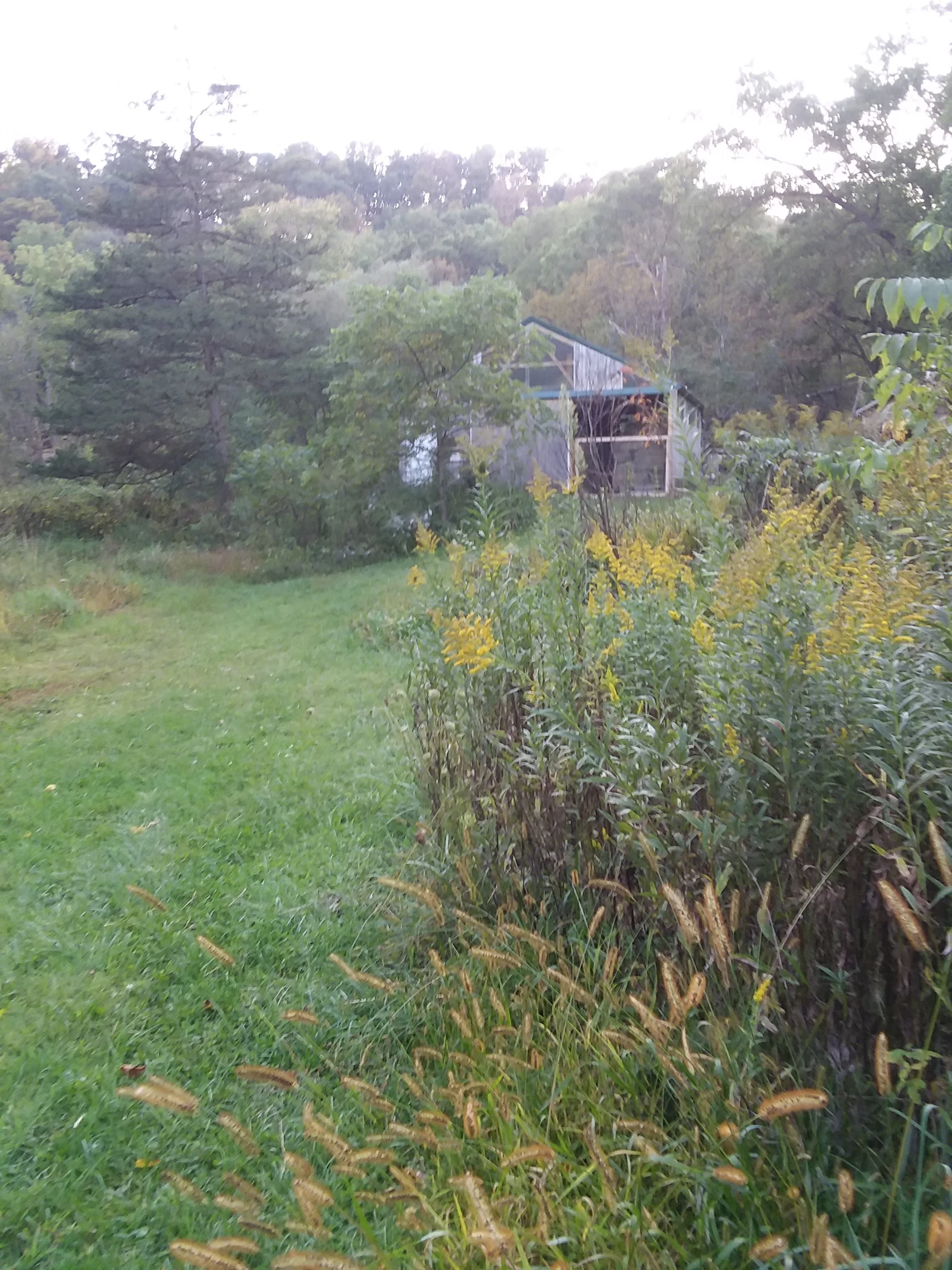 20190917_184514.jpg
