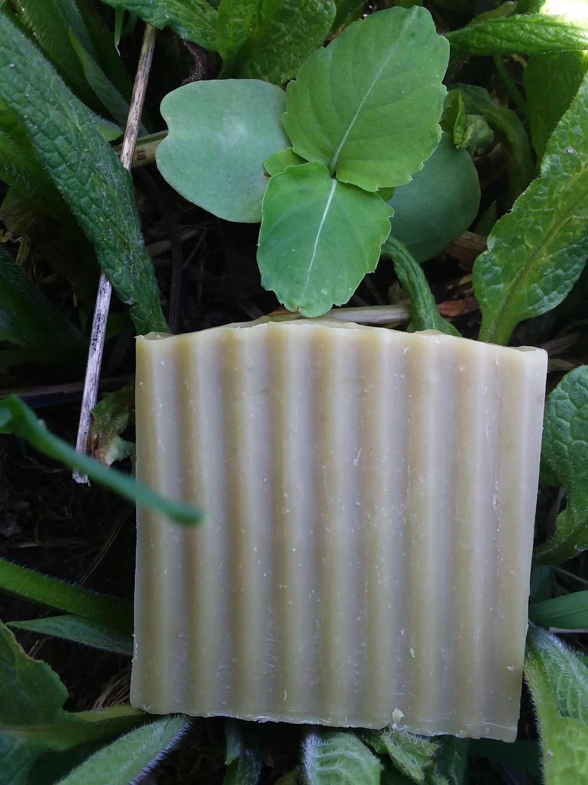 Super Jewelweed Soap, approx. 4oz.