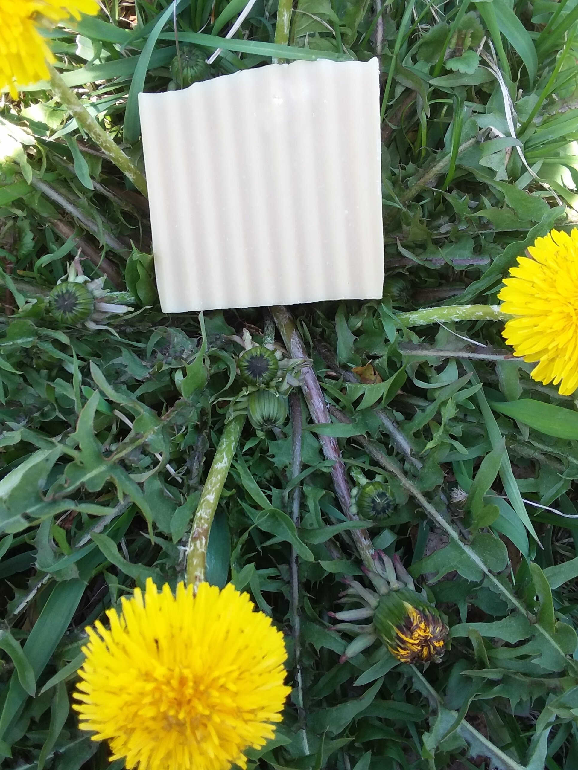 Super Dandelion Soap, approx. 4oz.