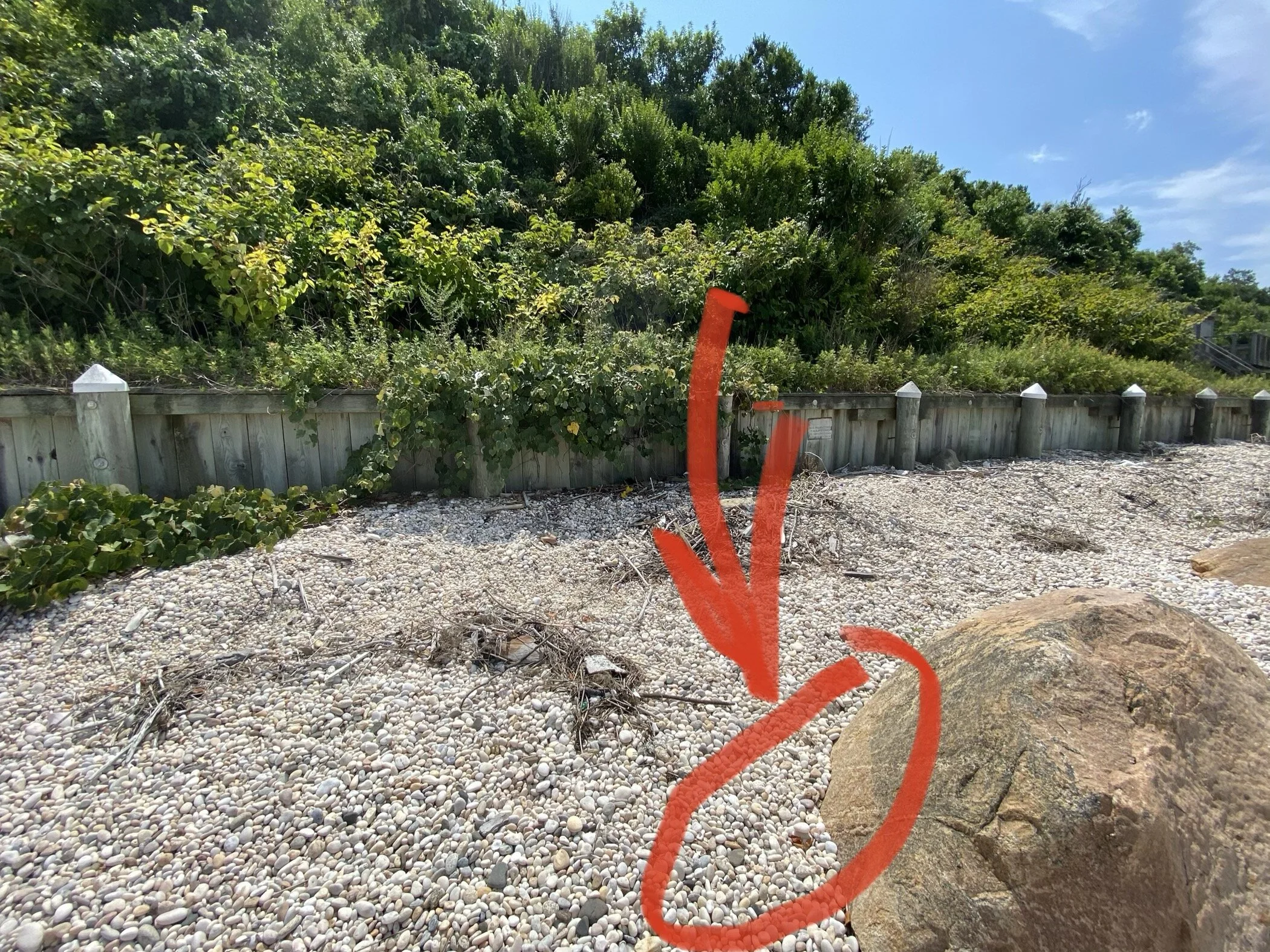 Buried on the inland side of the rock