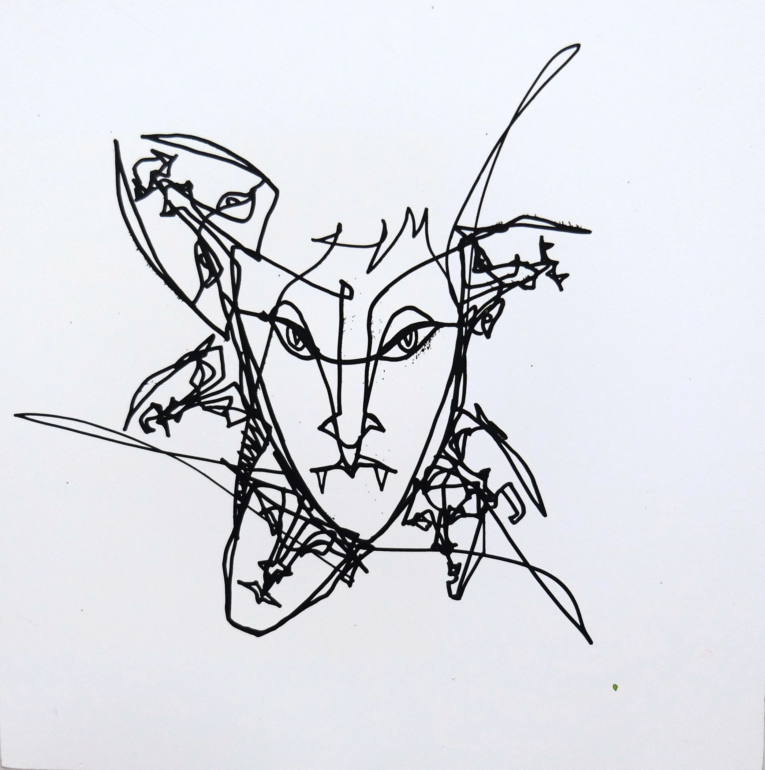 Searching for Blood.JPG