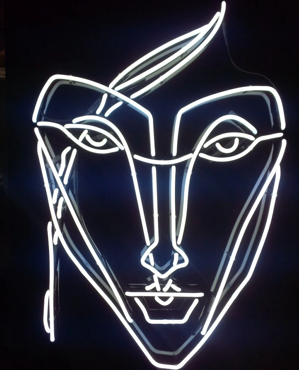 NEON ANSER.JPG