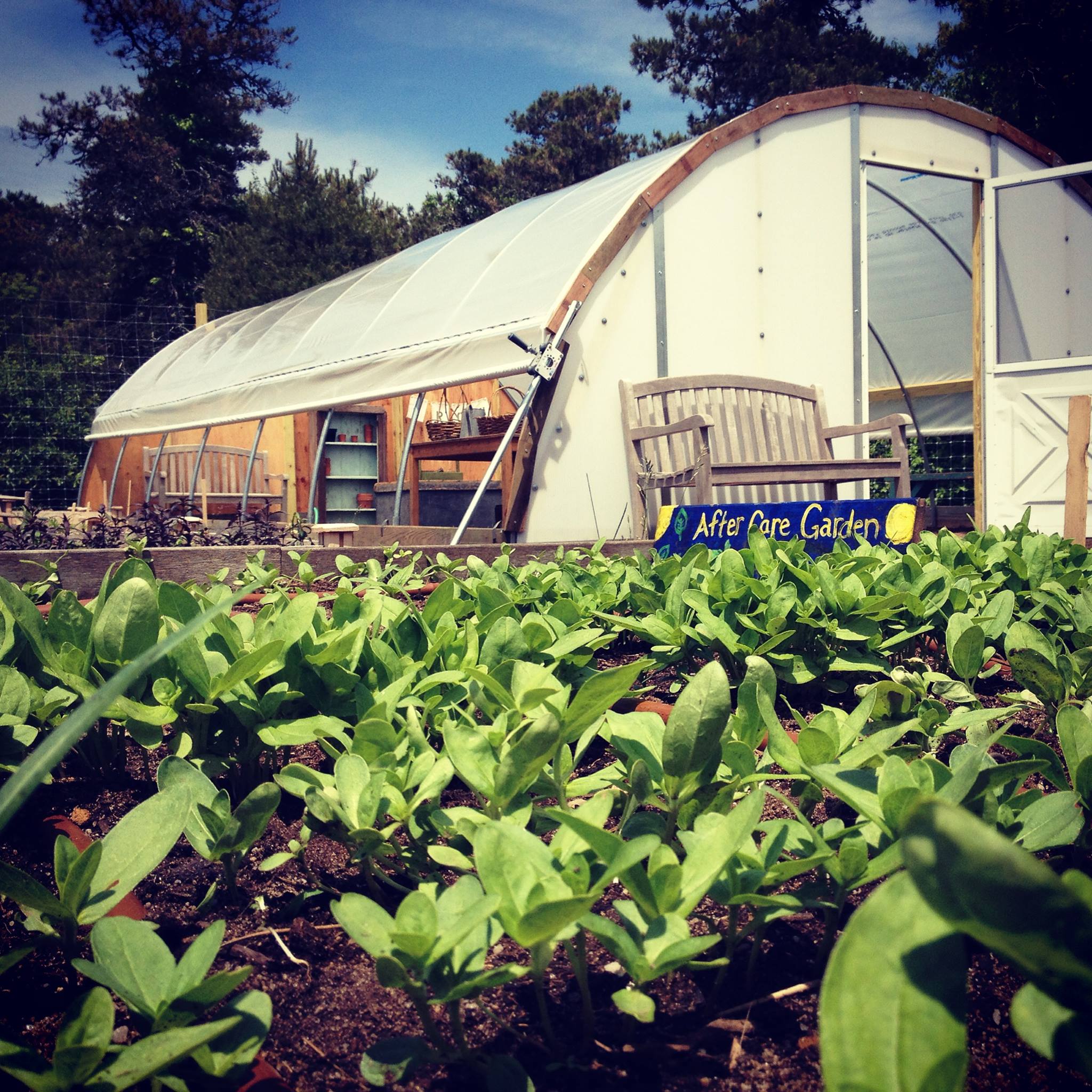 Nantucket Lighthouse School Greenhouse - Funded by 2014 Nantucket Garden Festival Supporters