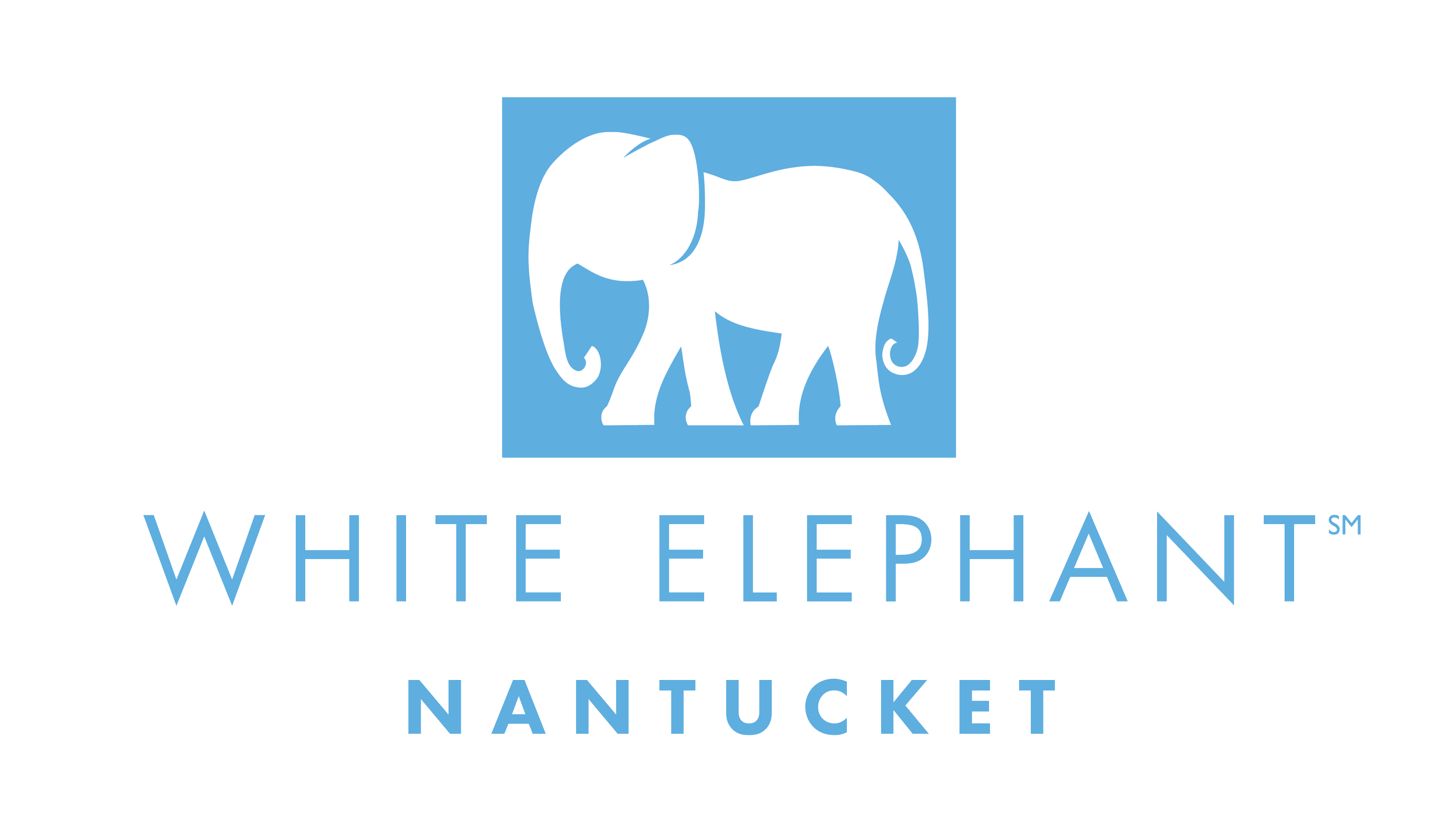 WE_Logo_01_Nantucket_1C_RGB_#5EAEE0.png