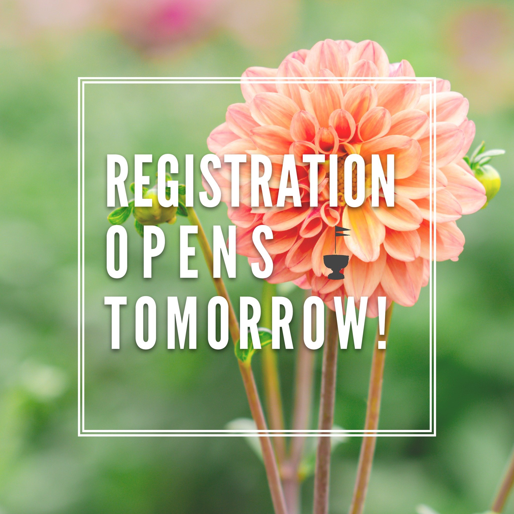 🌿 Dive into the beauty of blossoms! 🌸 Registration for Nantucket Garden Festival ticket sales opens TOMORROW! 🎟️✨ Secure your spot in this floral paradise! 

#NantucketGardenFestival #Nantucket #NantucketIsland #ACK #NGF 

@finegardening
@necoasta