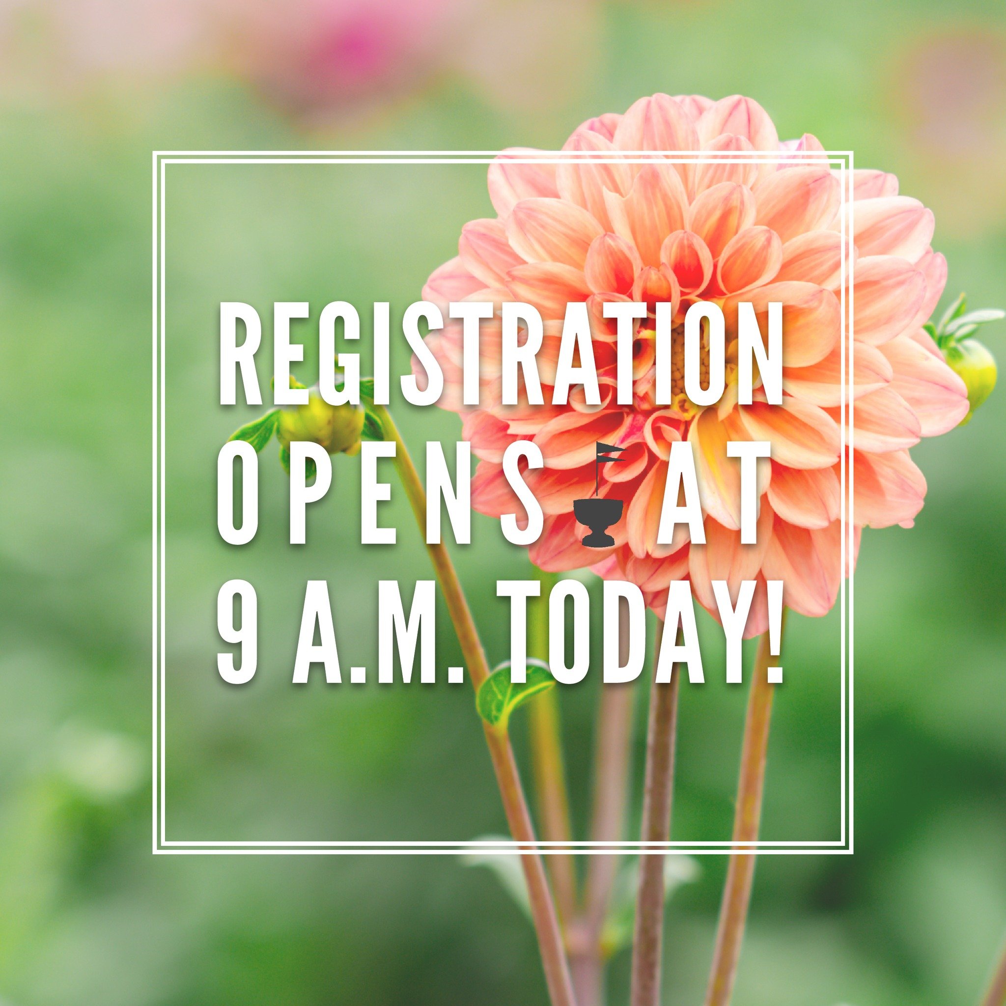 🌿🌸 Set your alarms! 🕘 Registration for the enchanting Nantucket Garden Festival opens TODAY at 9:00 AM EST! 🎟️✨ Don't miss your chance to immerse yourself in botanical beauty! 

#NantucketGardenFestival #Nantucket #Nantucketisland #ACK #NGF 

@fi