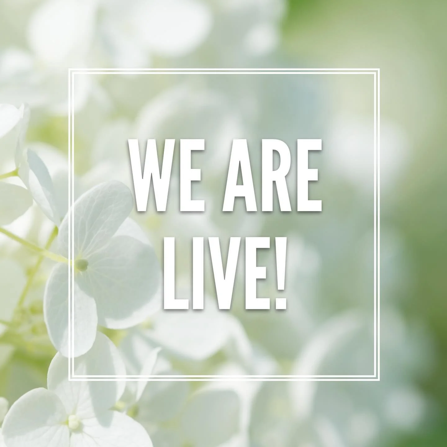 We are live🌿✨Tickets for the Nantucket Garden Festival are officially open! 

Join us this July for three days of beautiful gardens, inspiring conversations, and unforgettable experiences. 

Follow the link on our bio to secure your tickets today!🌸