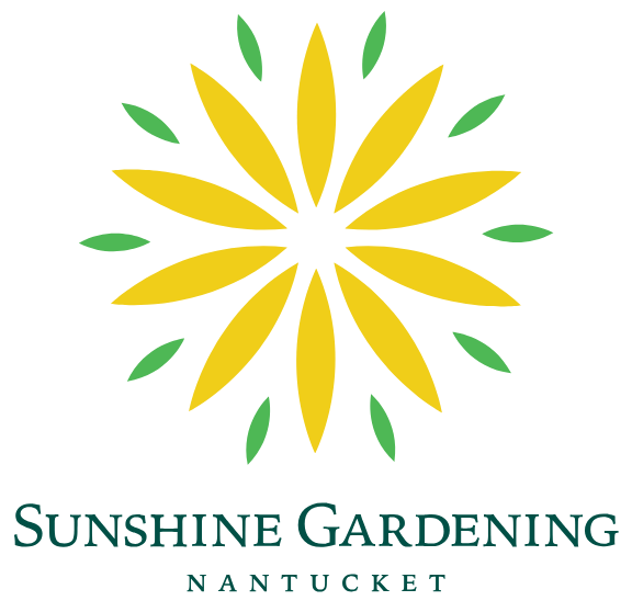 Untitled design (6).png