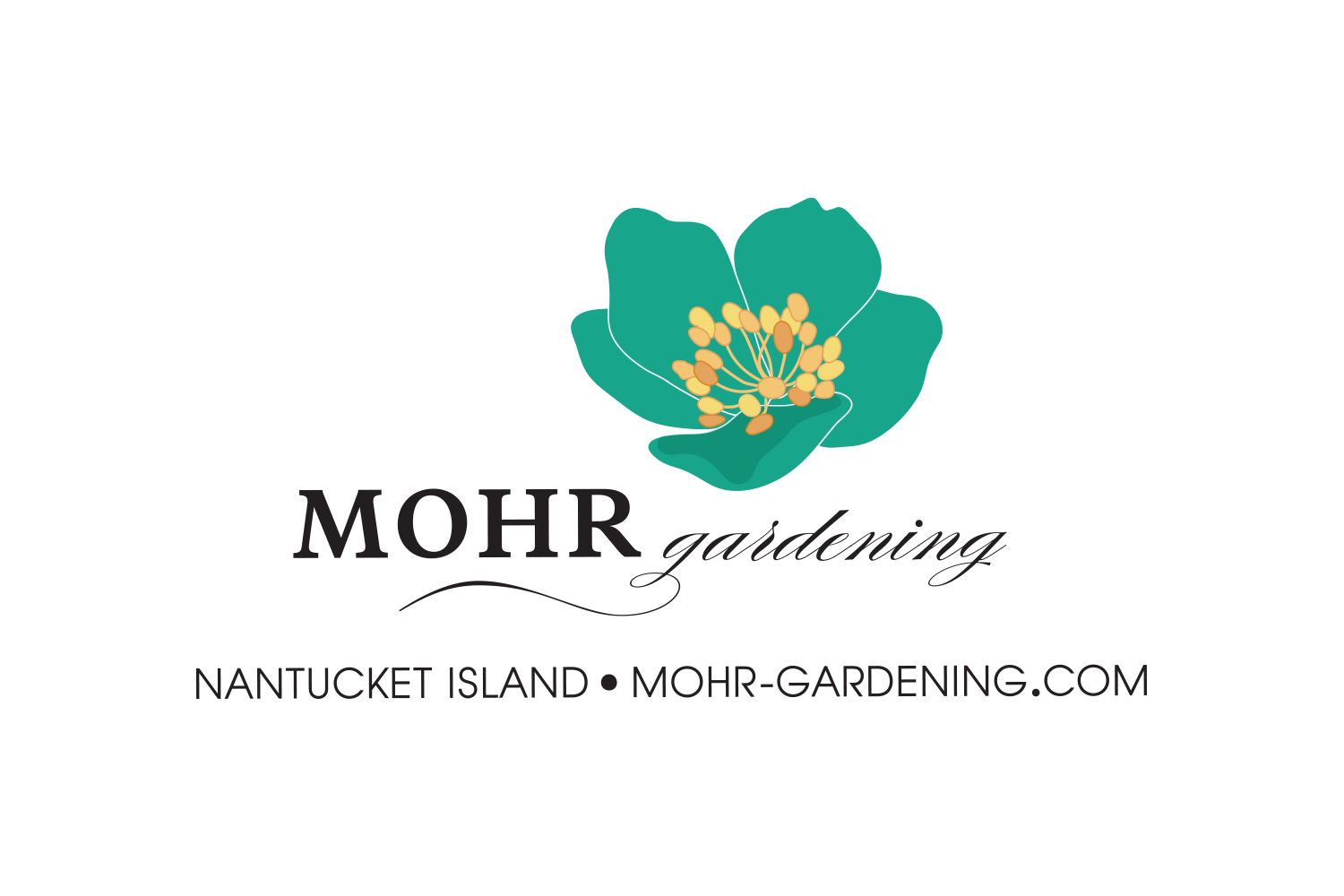 MOHR_LOGO_TAG_URL.png