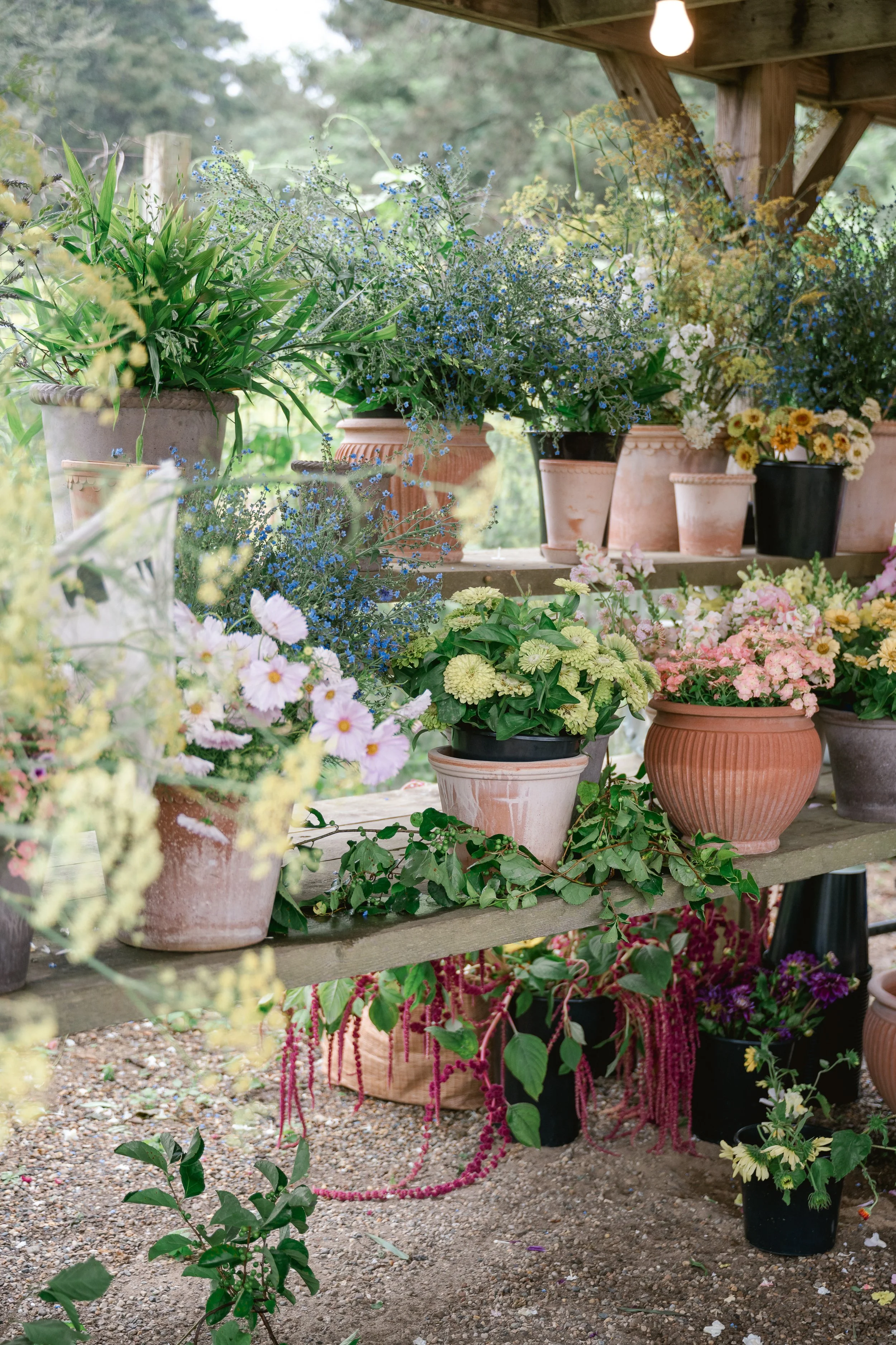 Floral Workshop 2.jpg