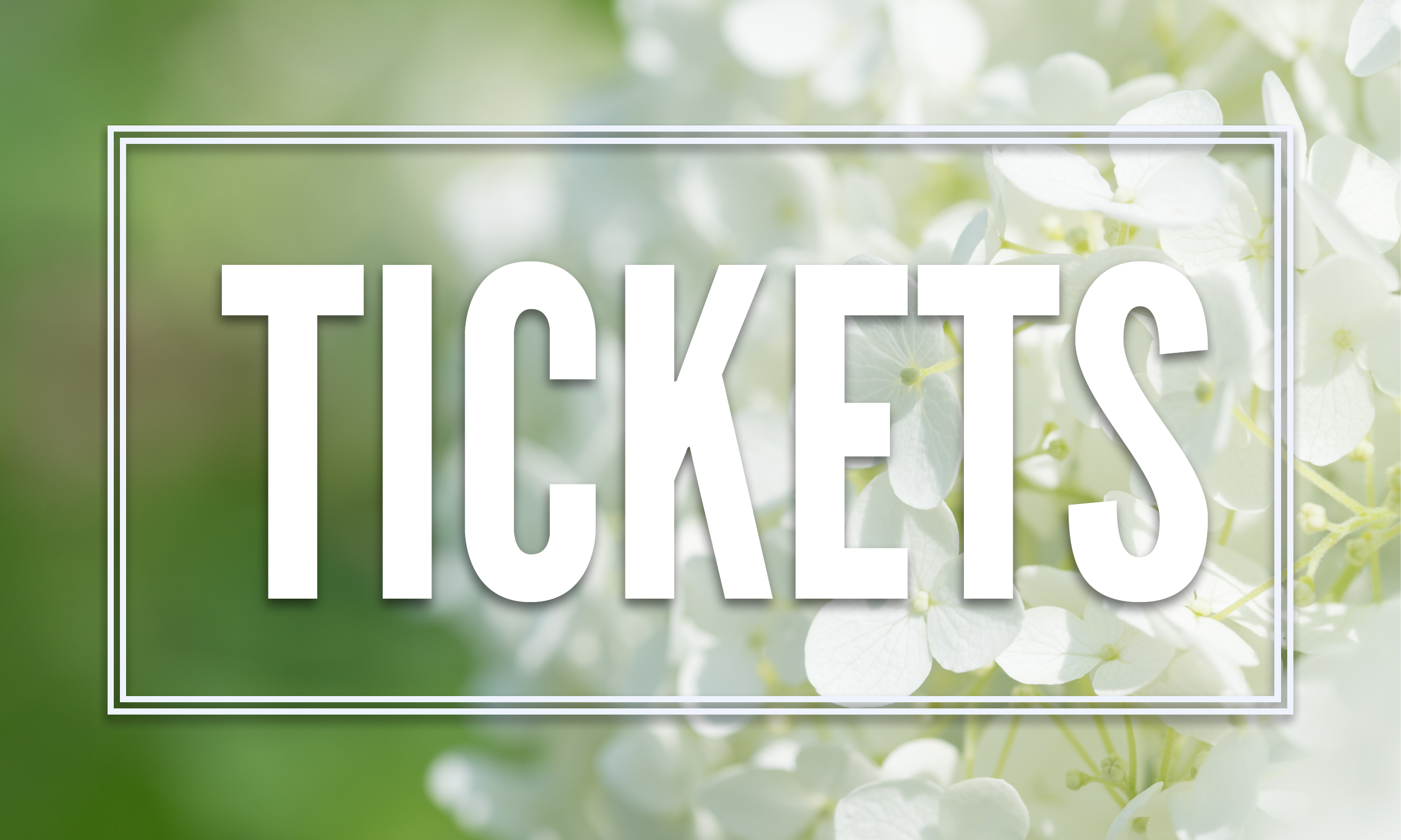 Social Media - Untitled Page (3).png