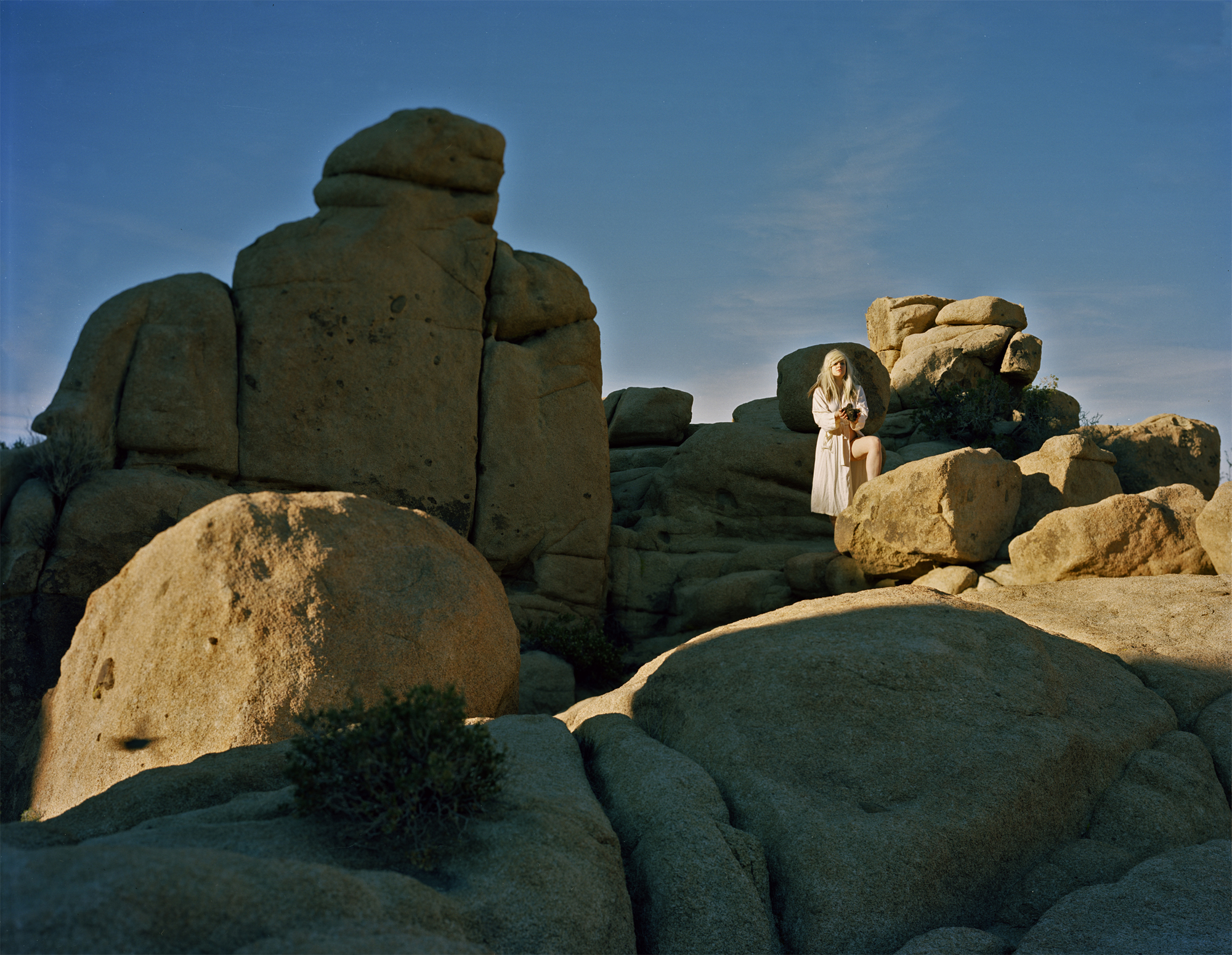 Monzogranite Cacti Offering