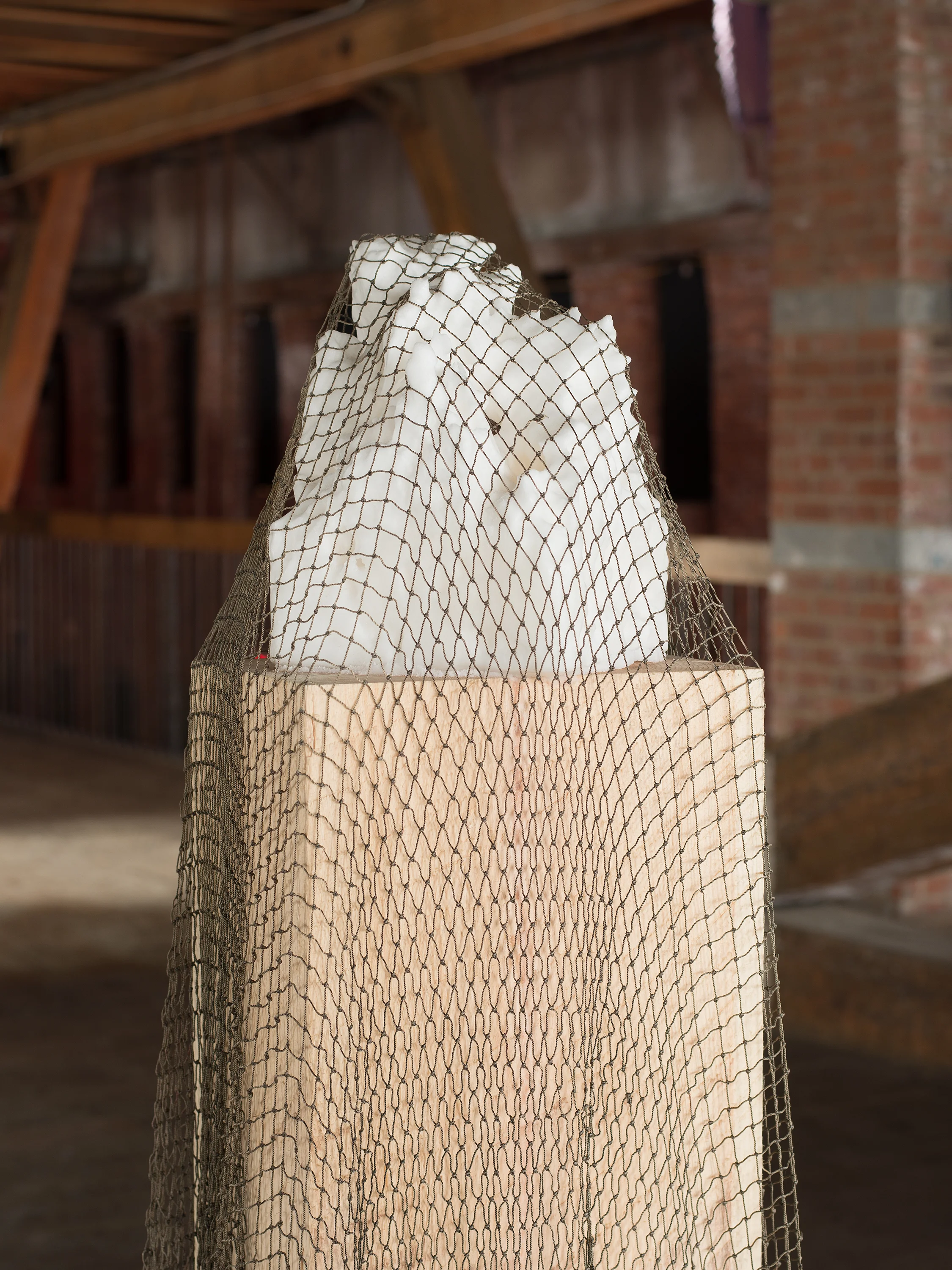 Veiled Monolith, 2017