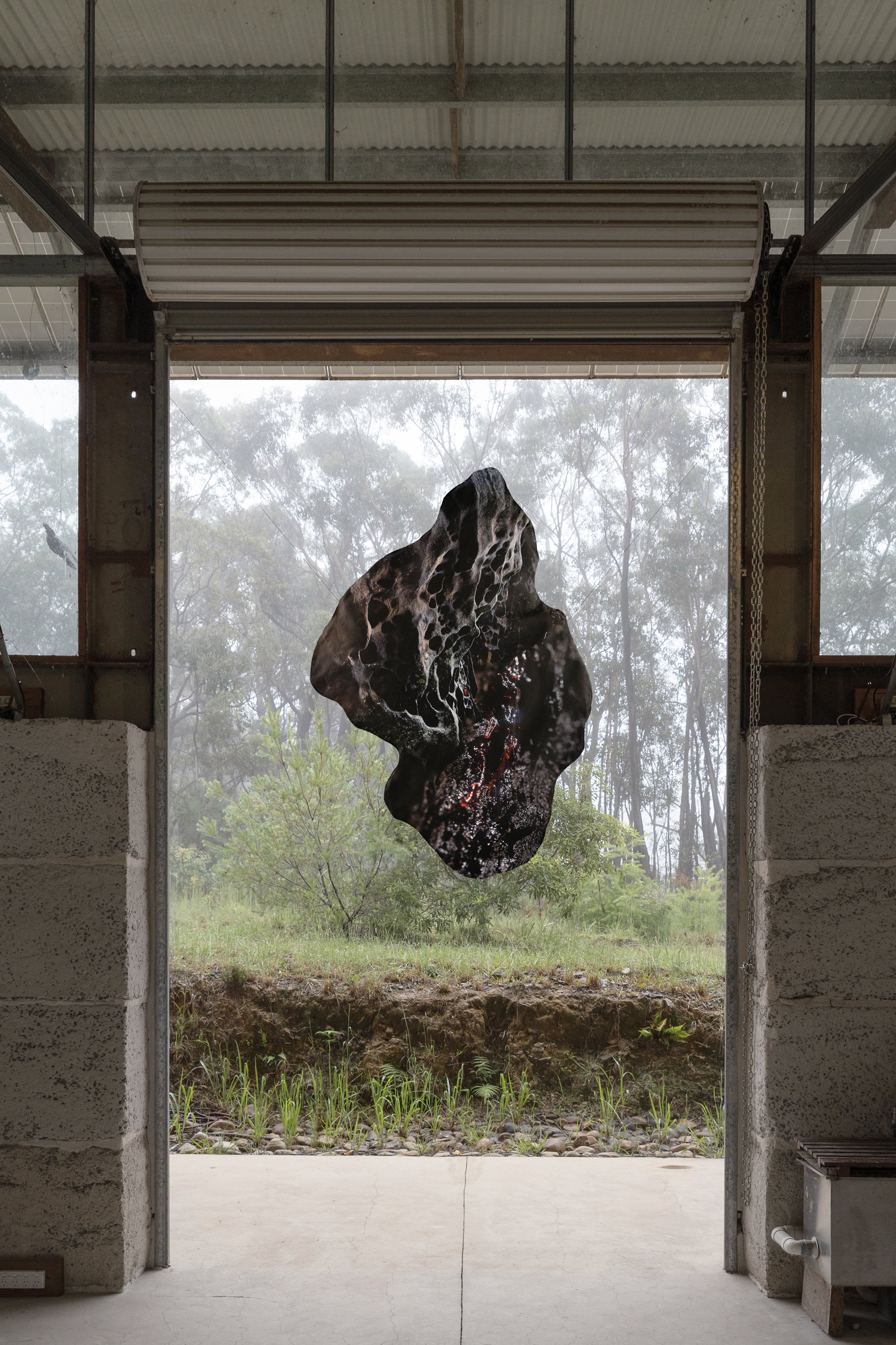 Mollie_McKinley_Primordial_Goblet_in_mist copy.jpg