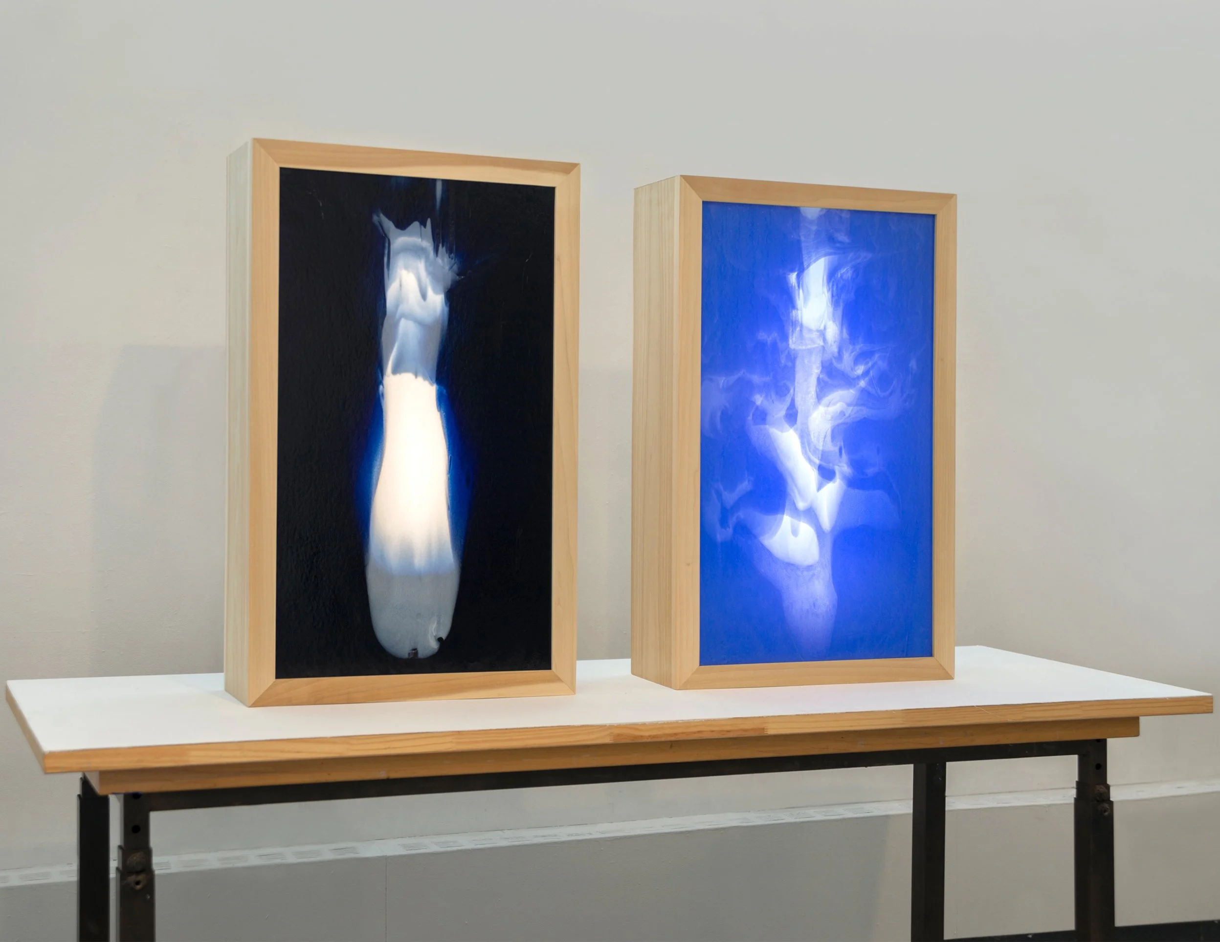 Mollie_McKinley_CobaltVeinFlush+YewInfusion_angle_view.jpg