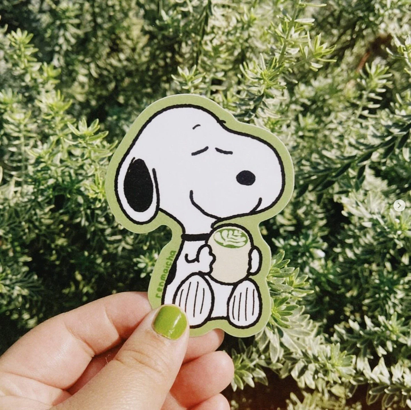 Winter weather is settling over Portland. This cozy Snoopy with matcha sticker designed by @renmaicha and printed by @stickerninja captures the vibes here at Iron Fireman.⁠
&bull; ⁠
&bull; ⁠
🎨 Ren Kanoelani⁠
📸 Sticker Ninja #Repost⁠
&bull;⁠
&bull;⁠