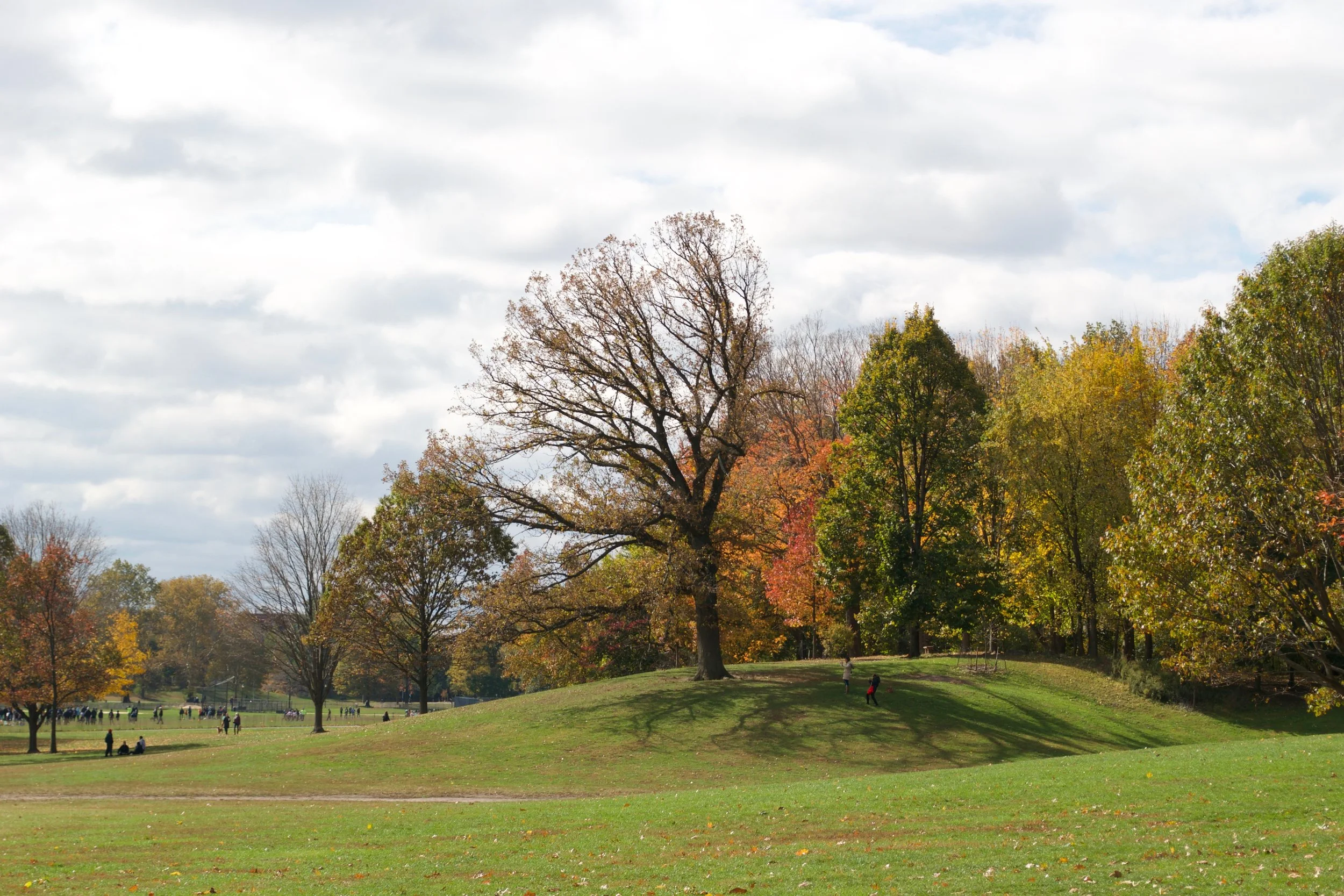 DSC_1827.jpg