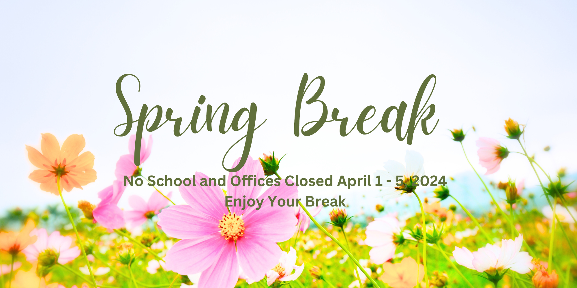 Spring Break (2000 x 1000 px).png