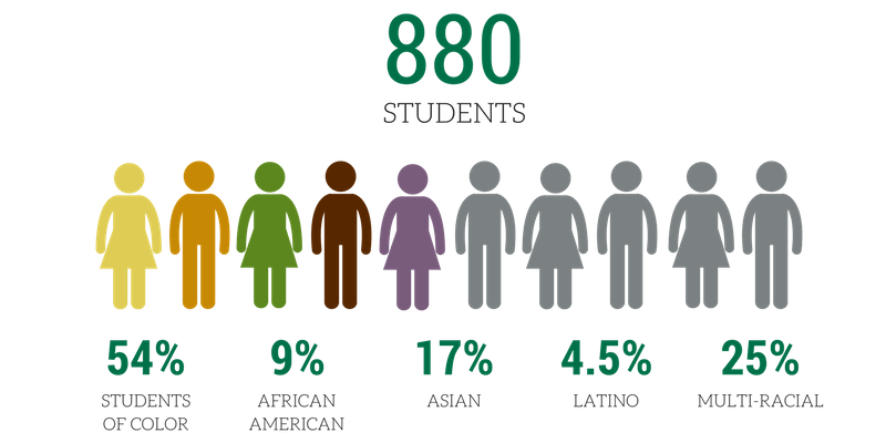 School_diversity_(2).png