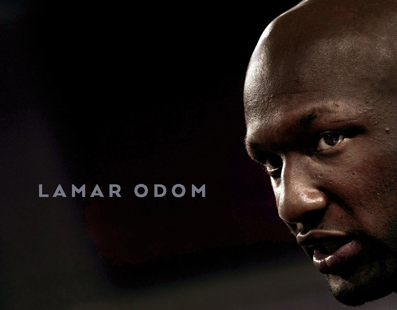 LAMAR.png