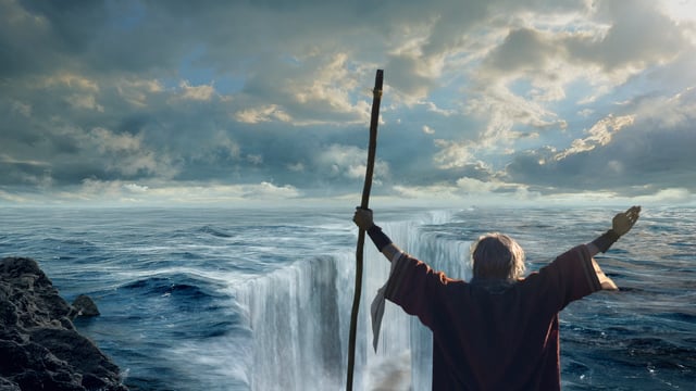 1-800 CONTACTS - MOSES