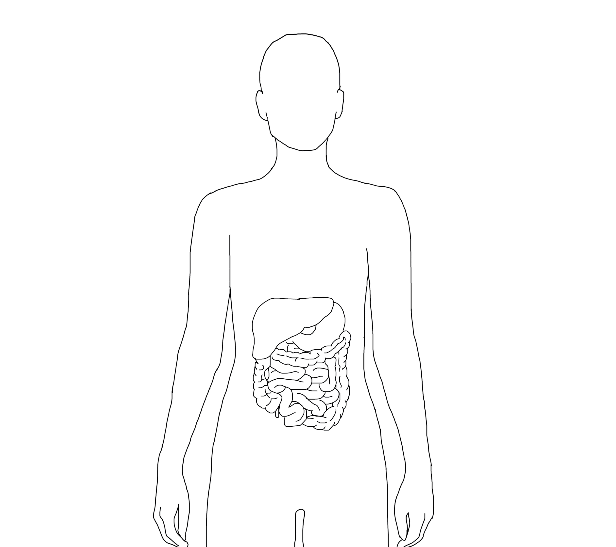 5GUTBRAIN-new.gif