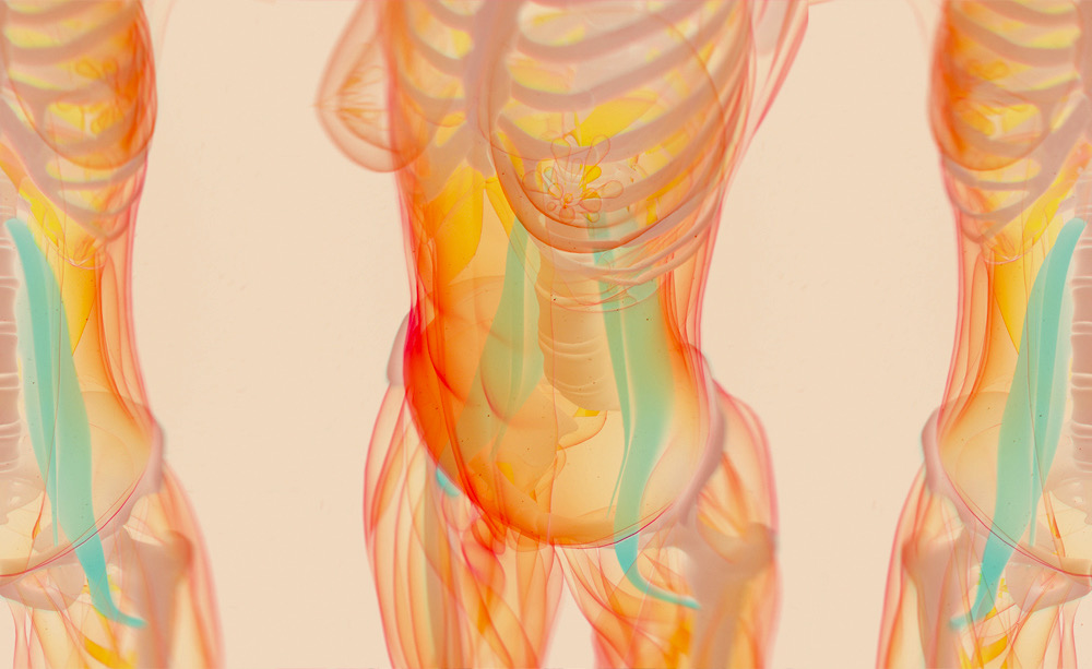 psoas-kariharendorf.jpeg