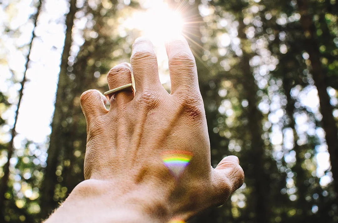 hand reaching to sunlight opt.jpg
