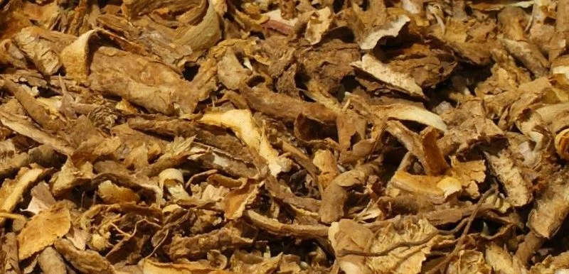 Alternative Approaches to Opioid Addiction 