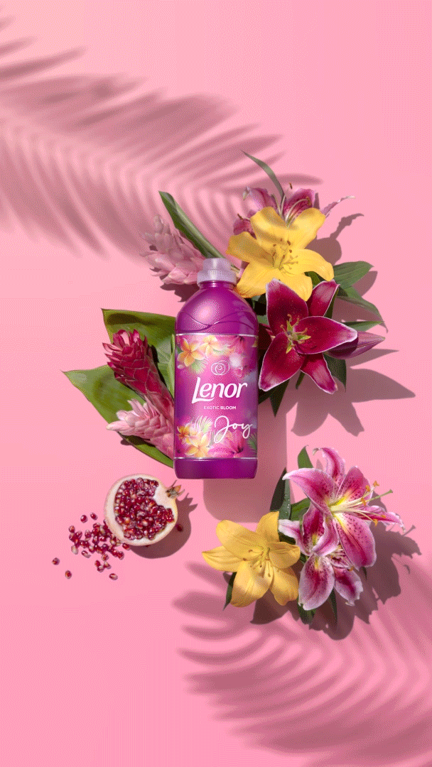 Lenor.gif