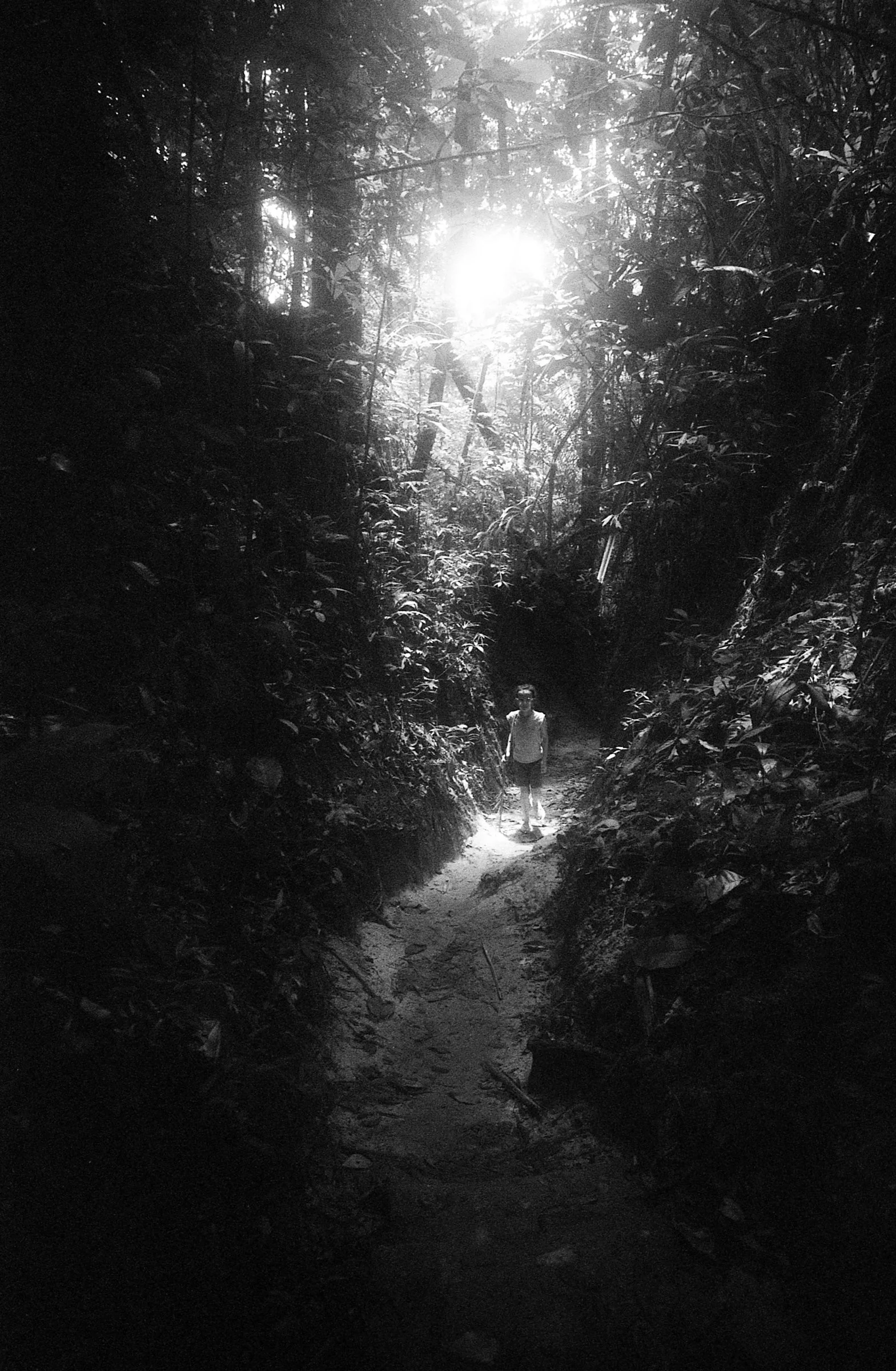 img028.jpg