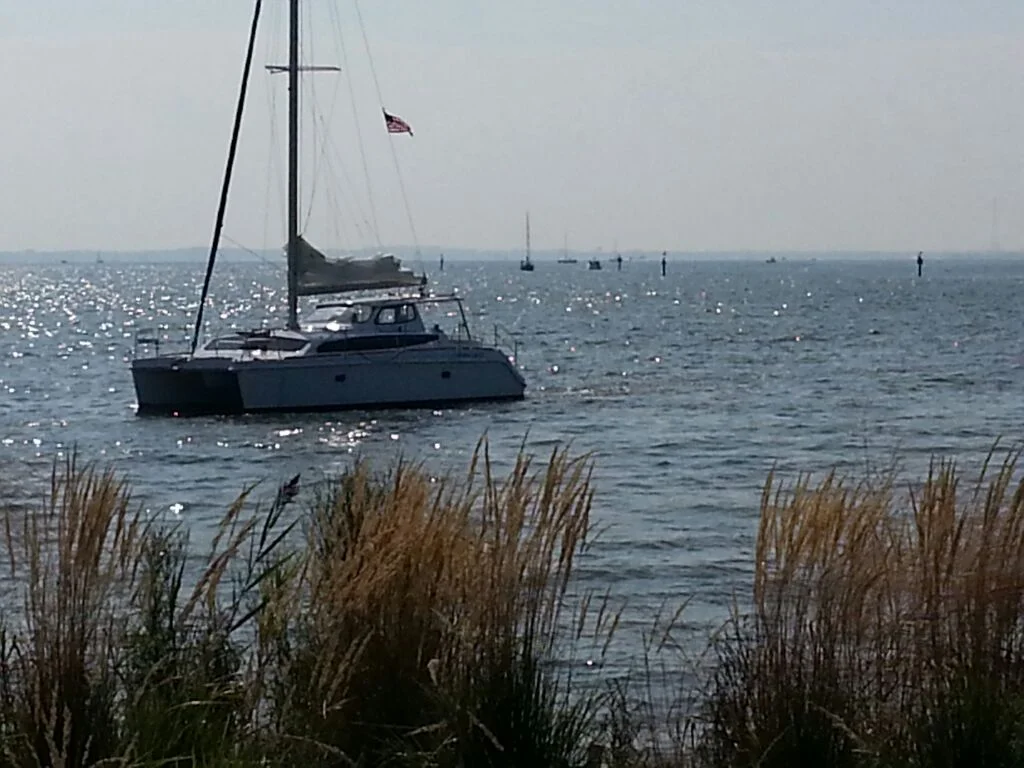 A sailboat floating on calm water near the shore, with grasses in the foreground and other boats in the distance on a sunny day.
