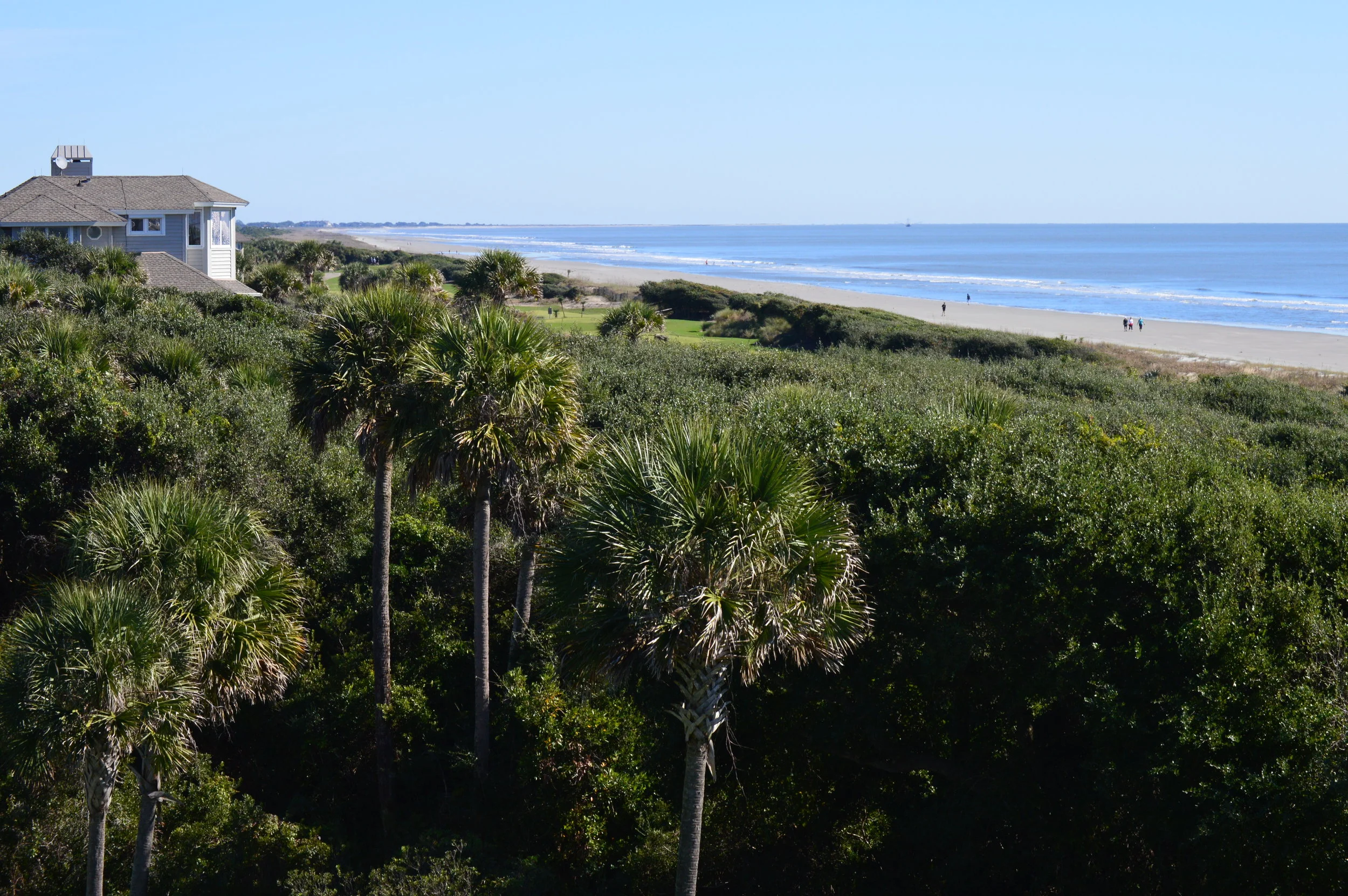 View of a beach with a house on the left, palm trees in the foreground, sandy shoreline, and blue ocean extending to the horizon under clear sky.