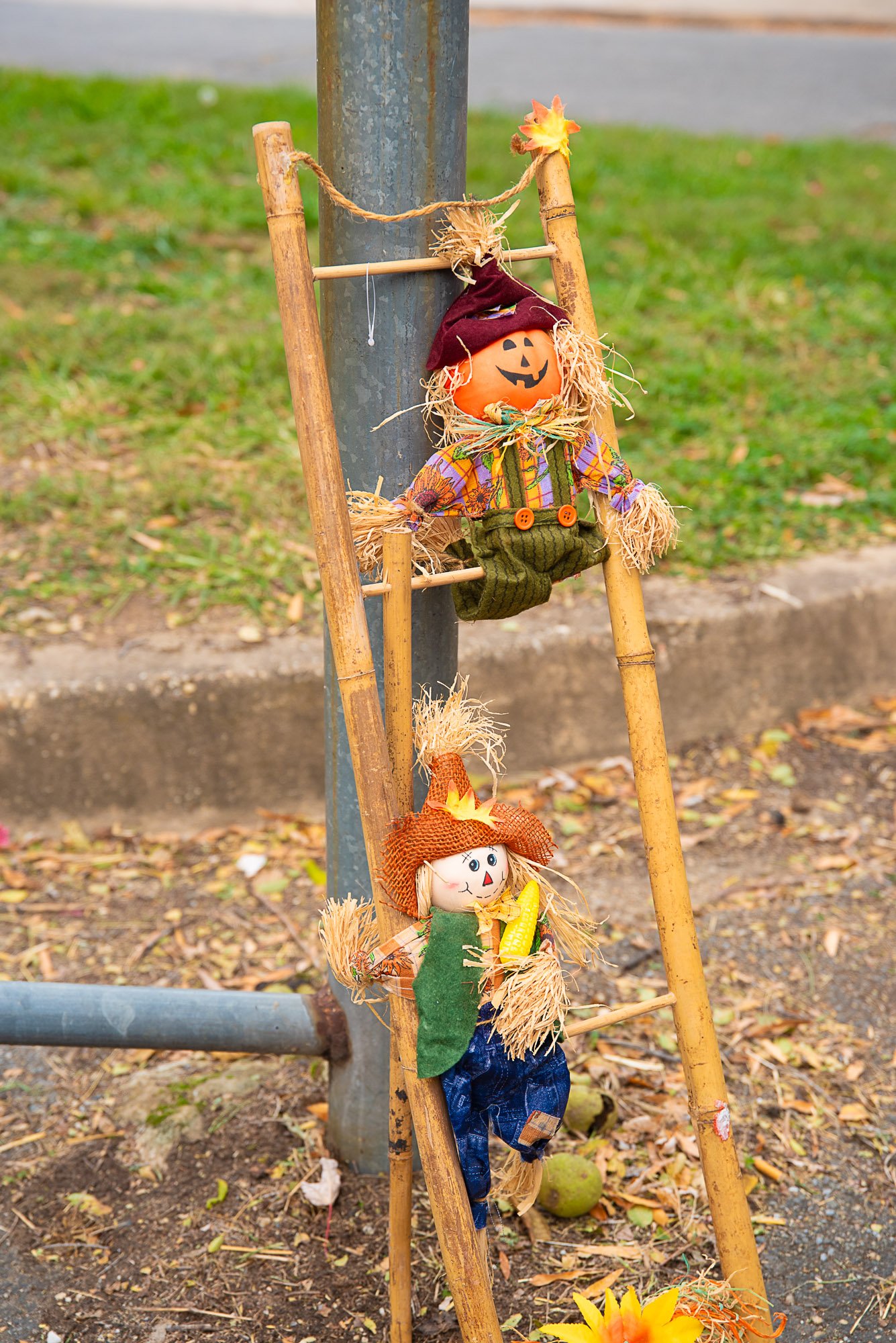 fallharvestevent-mhwynnphotography_0593.jpg