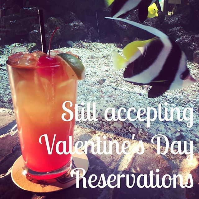 Make your reservation today! #valentinesday #eatfish #fishhouseveracruz #maitai #aquarium #february14 #seafood #sanmarcos #northcountysd